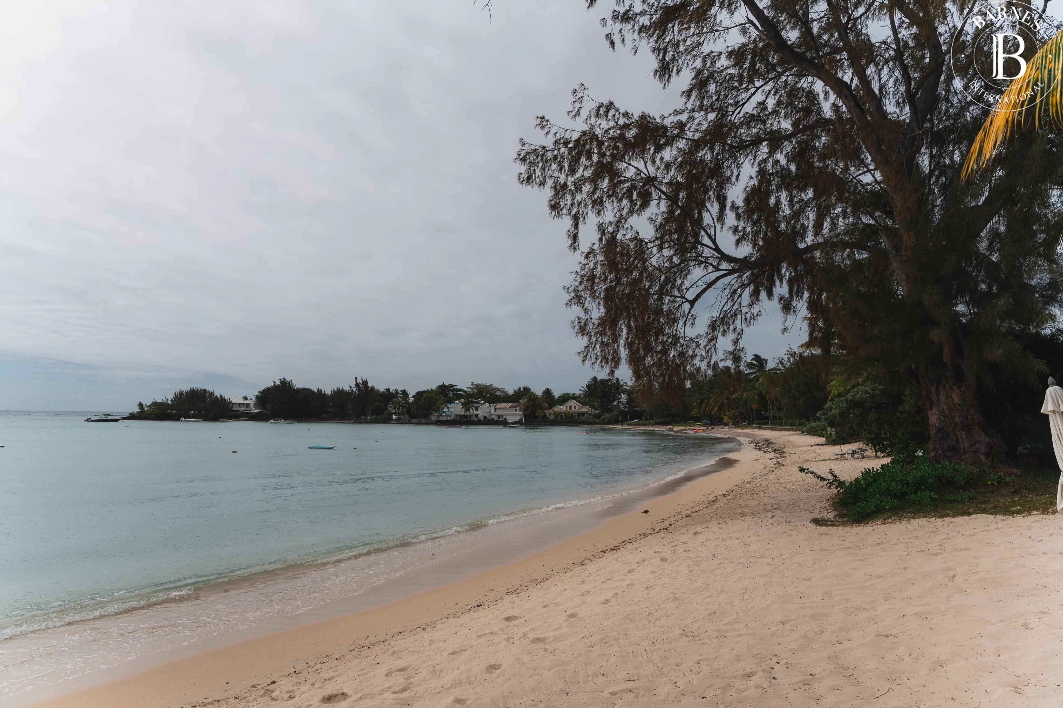 Cc344c5b062f46363b7eed63318ad96e cef6981fa2 4096 original - Attribut alt par défaut.