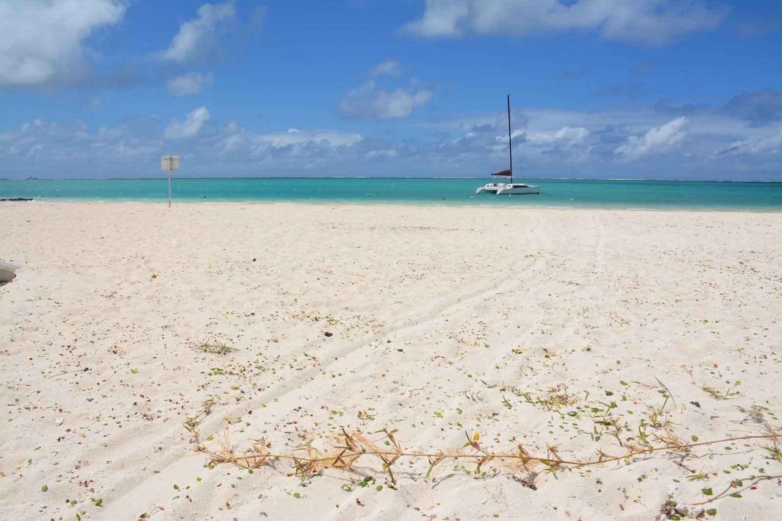 A81e20a1b766b7b056ce3ed79025810e d751e1c9d4 1600 original - Attribut alt par défaut.