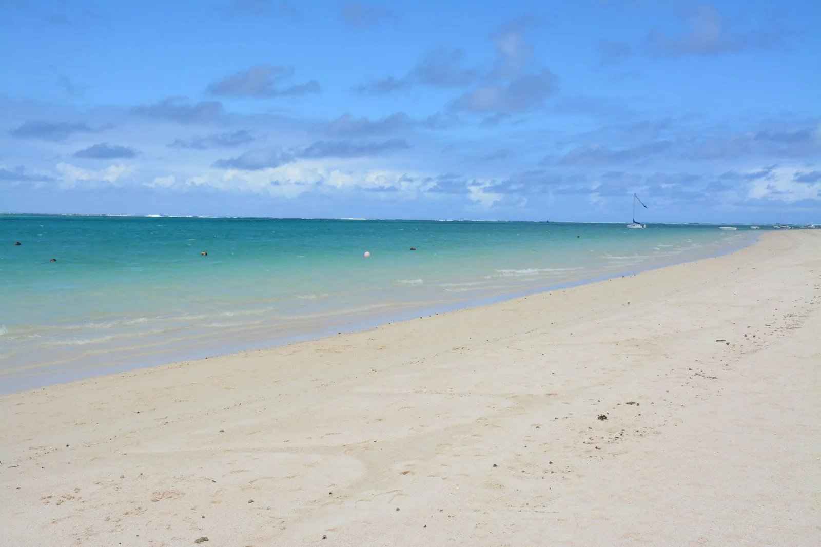 Bb0fe7374147d4625caac40321a10542 2b76ae7aab 1600 original - Attribut alt par défaut.