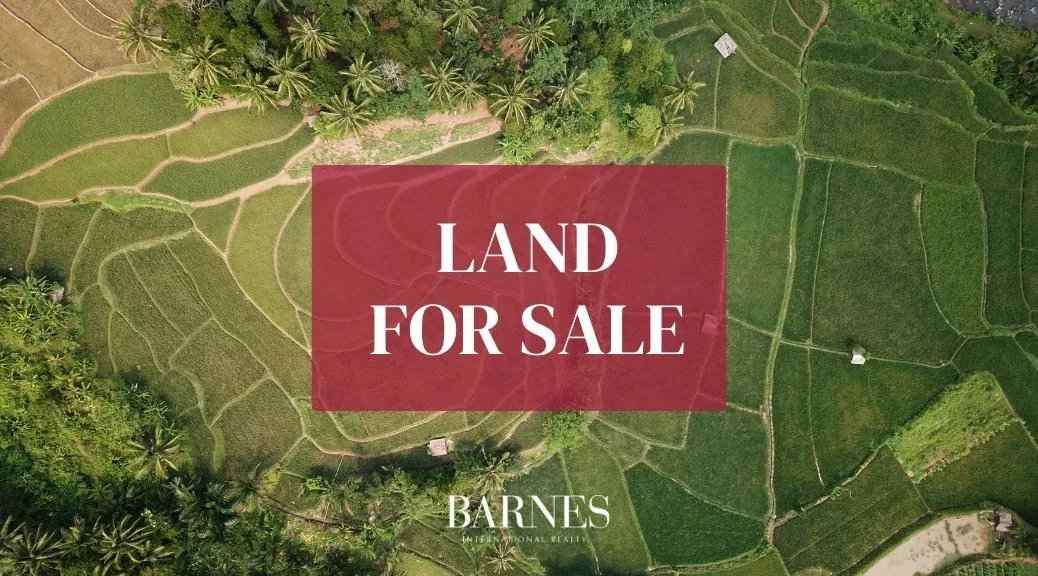 987946e0c3bb13d3f693849c7ea2dff1 7e88e99834 1038 original - Attribut alt par défaut.