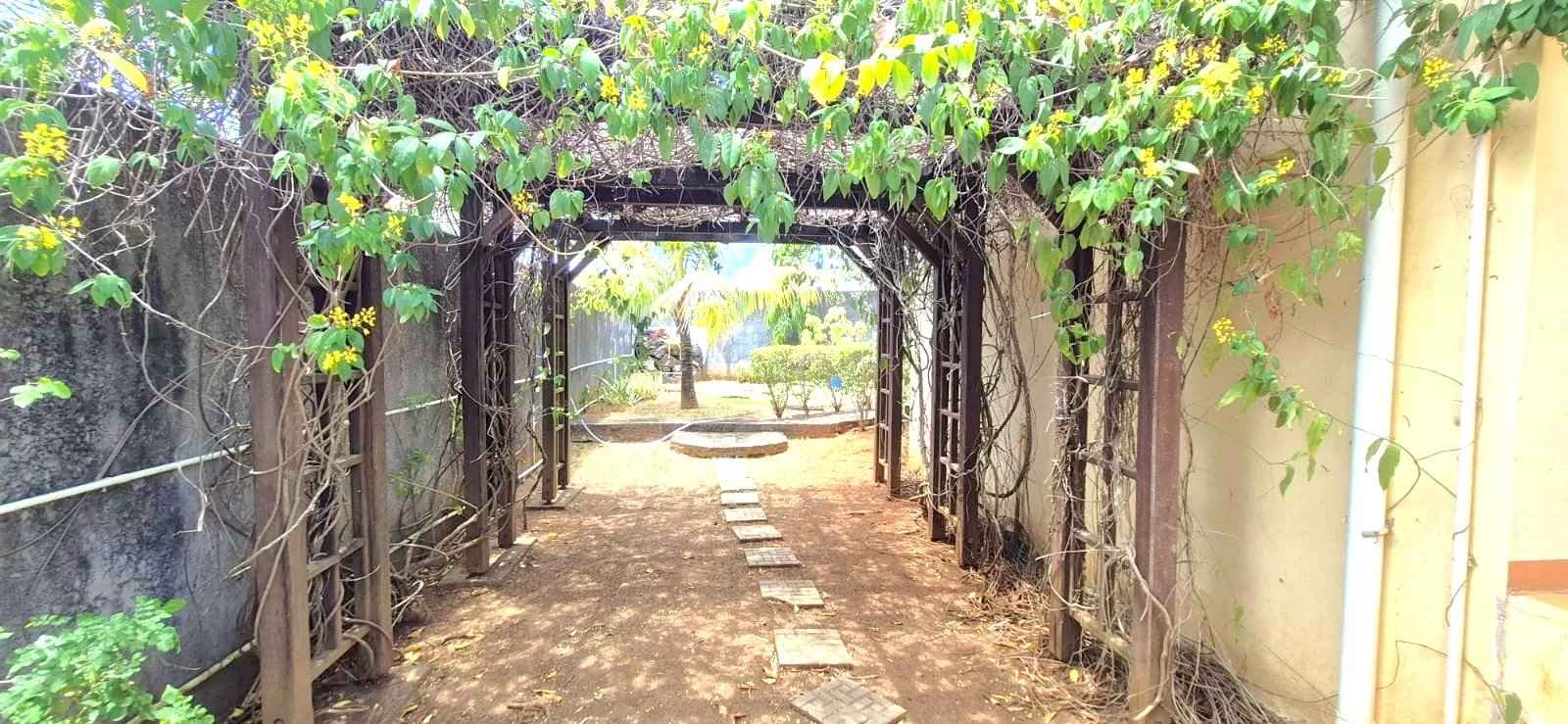 2c01af25f0086ee3150877bf5c03b568 e354c13393 1600 original - Translation missing: en.helpers.application.image_tag.default_alt