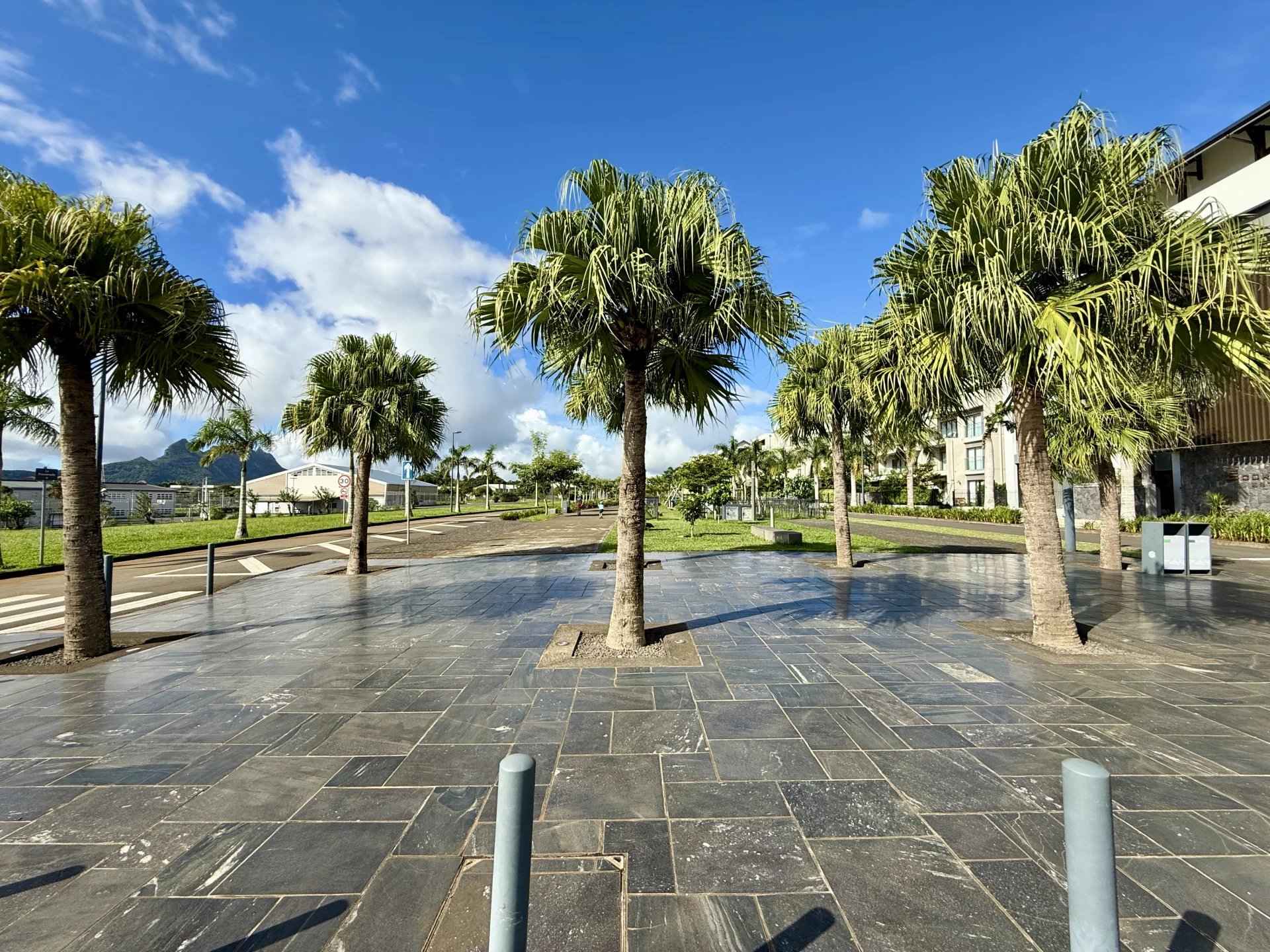 D83df8e7c4ba94db6e843eb6f847ada1 86609c5942 1920 original - Translation missing: en.helpers.application.image_tag.default_alt