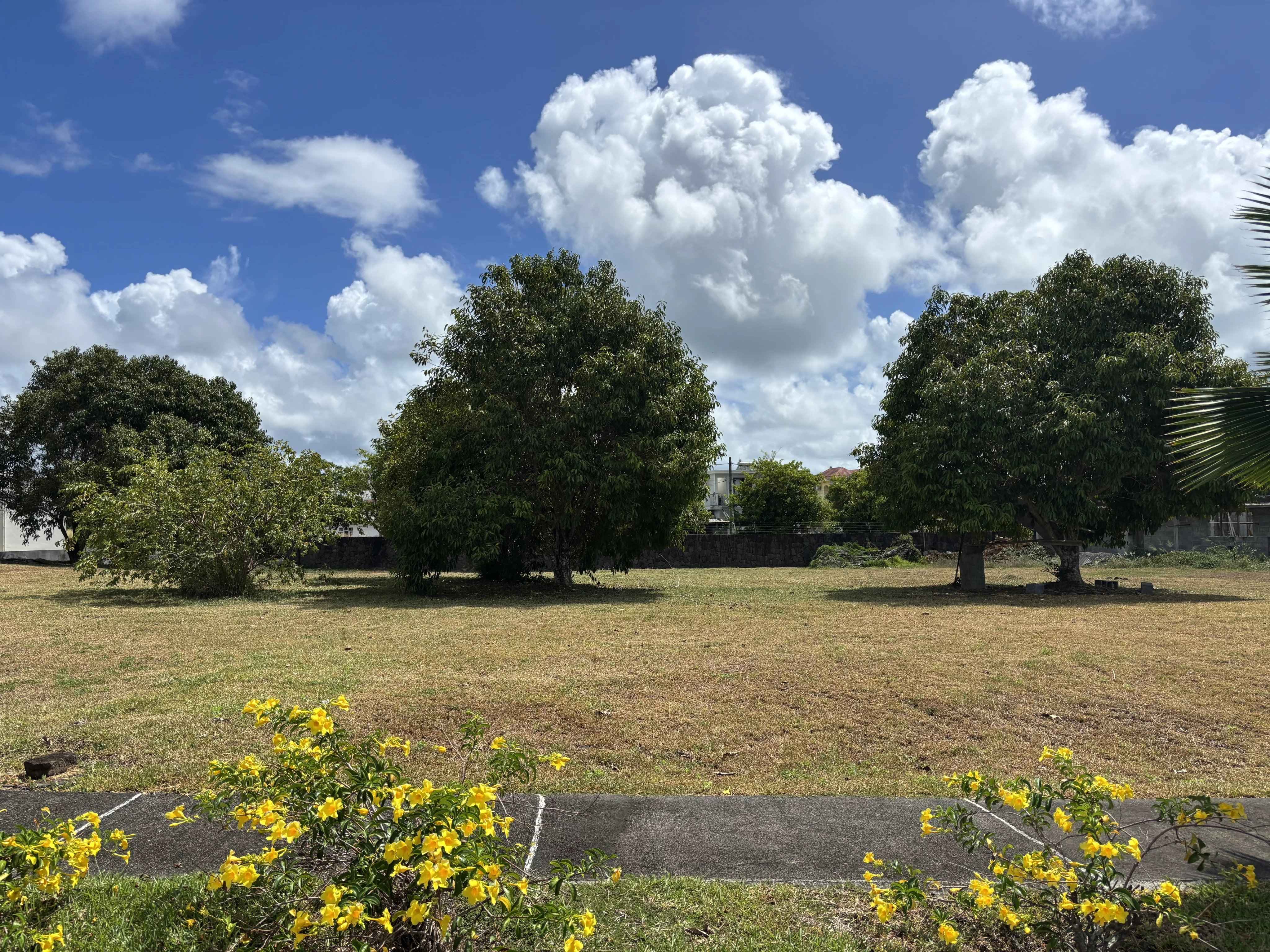 4df2fb53461371c5920d4e34218fc1f7 e5ed38b15f 4096 original - Translation missing: en.helpers.application.image_tag.default_alt