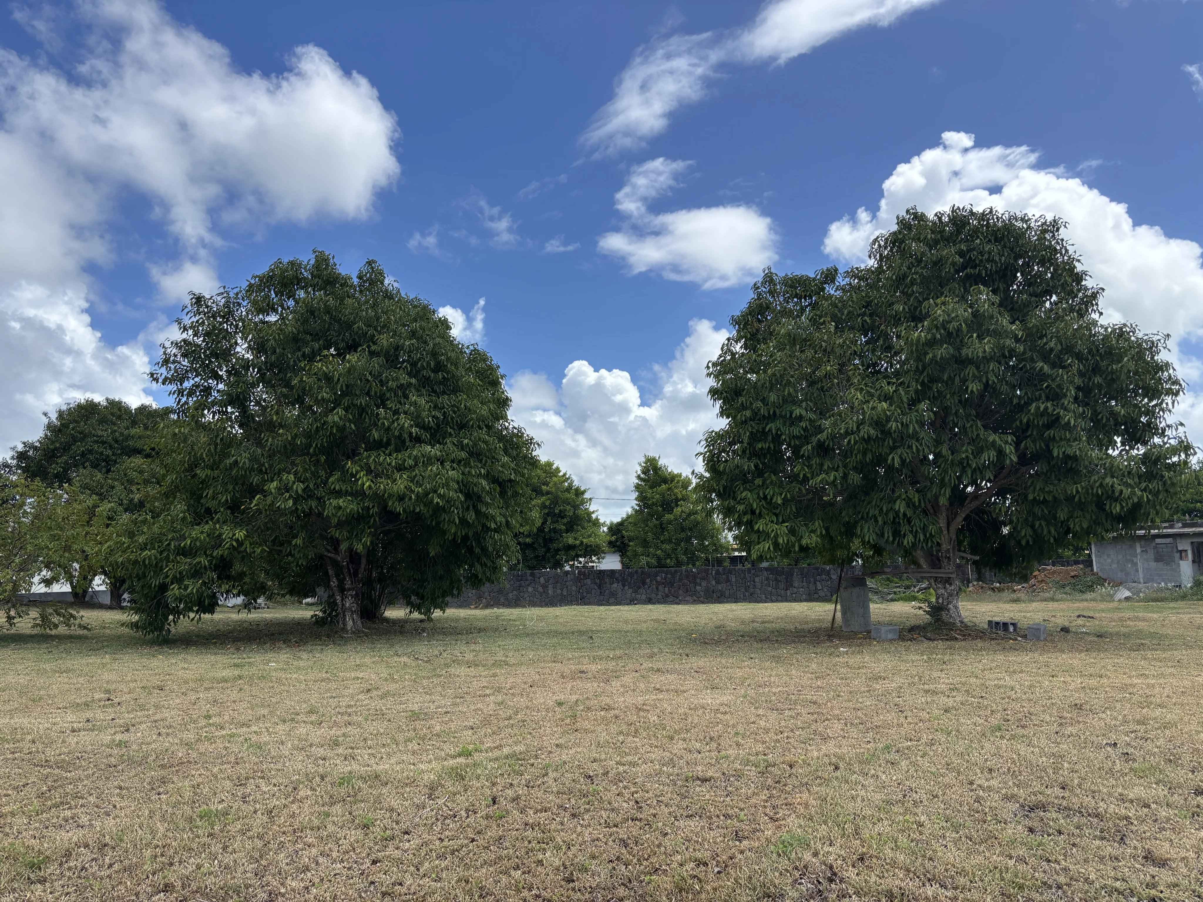 Ef0e2c550a1f6bd20f10e2b220ab01f7 fe6fbd86b5 4096 original - Translation missing: en.helpers.application.image_tag.default_alt