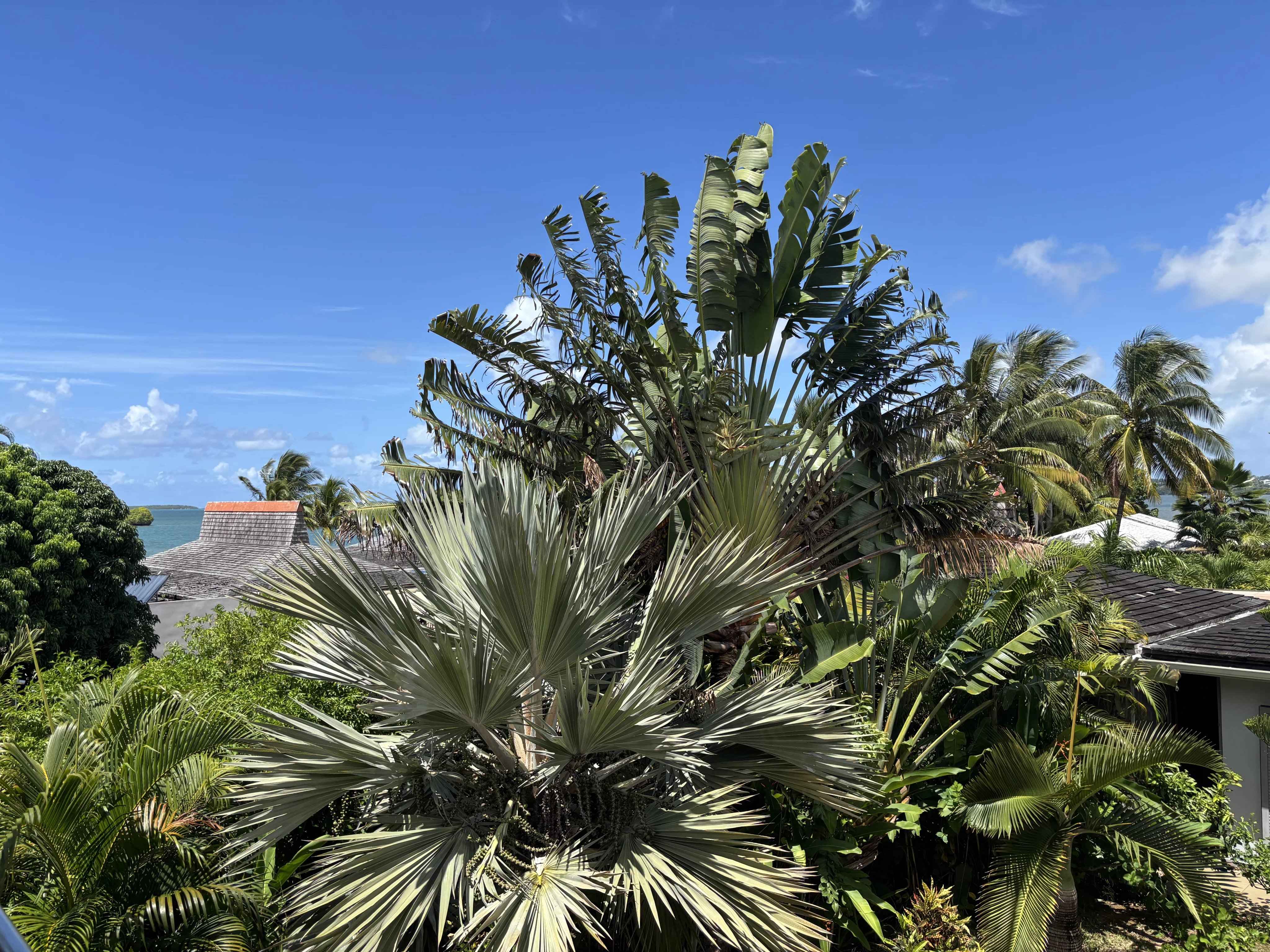 1a4ba16667b3a01f030f247ee7f11b1d 208c85a3f1 4096 original - Translation missing: en.helpers.application.image_tag.default_alt