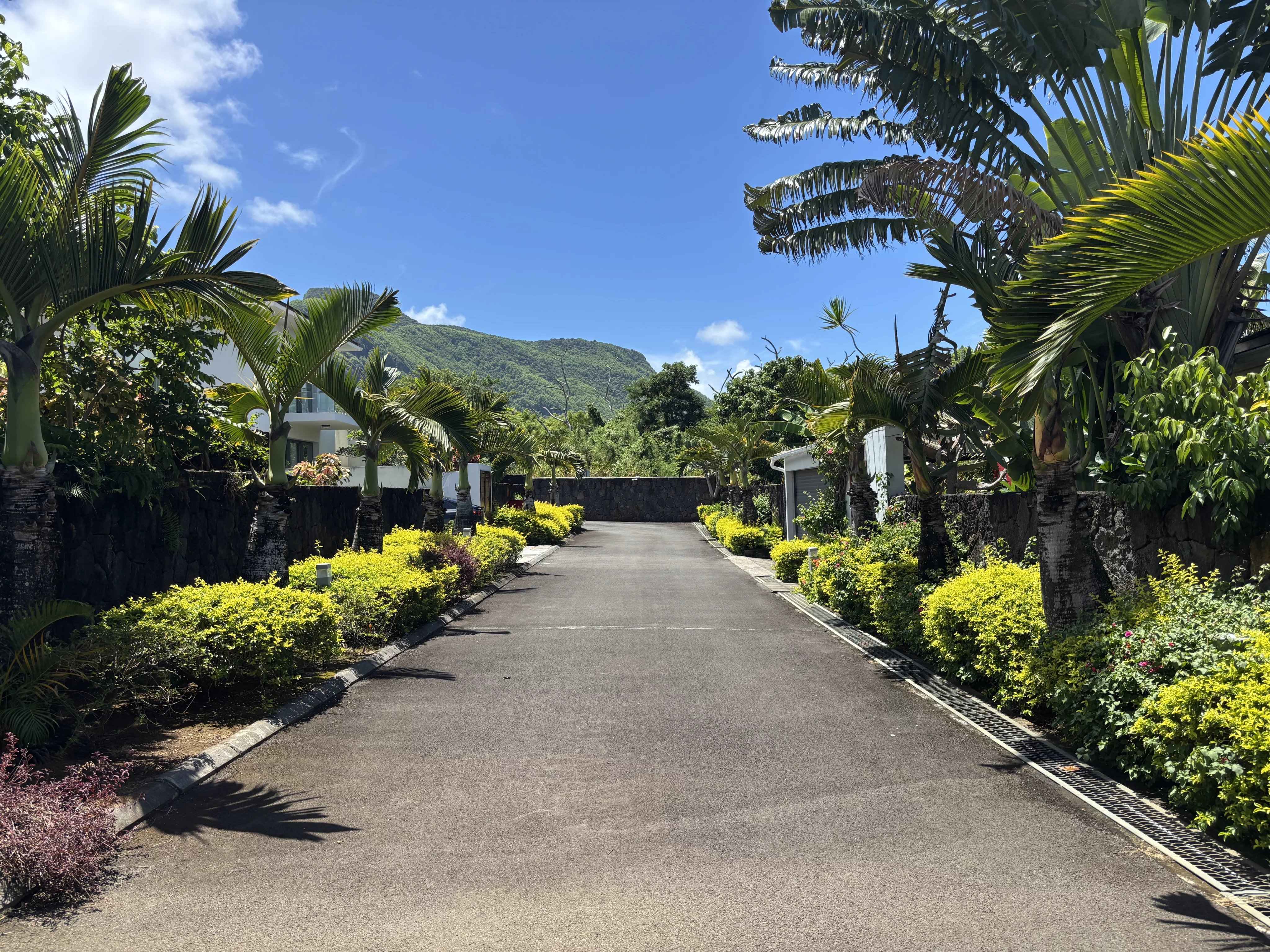 0a593c2e1bd8ca85379ba8355cad7e96 1c0c9f2061 4096 original - Translation missing: en.helpers.application.image_tag.default_alt