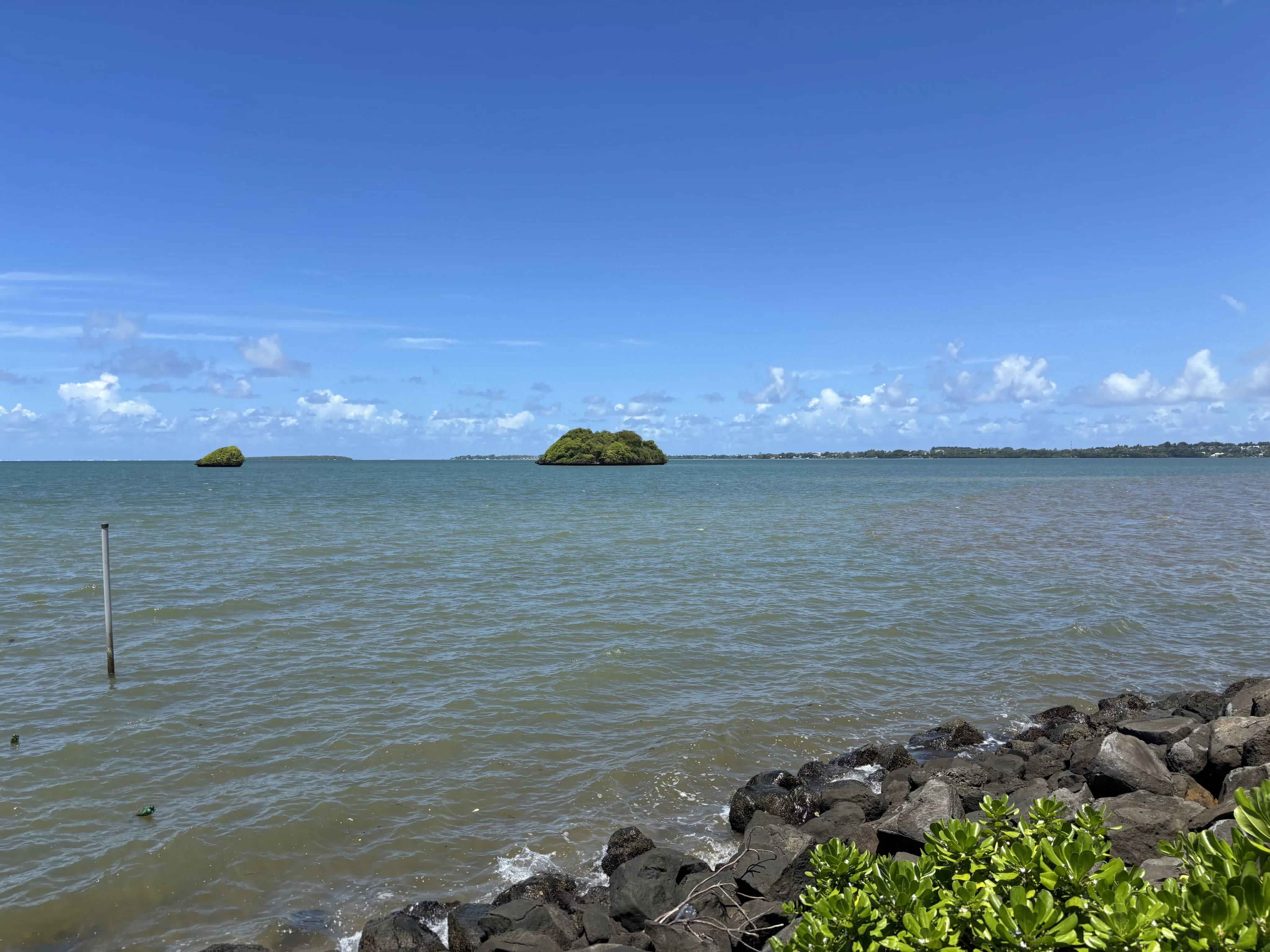 F79bd10a759b6e300881de2eadb45c53 5f4b9eed75 4096 original - Translation missing: en.helpers.application.image_tag.default_alt