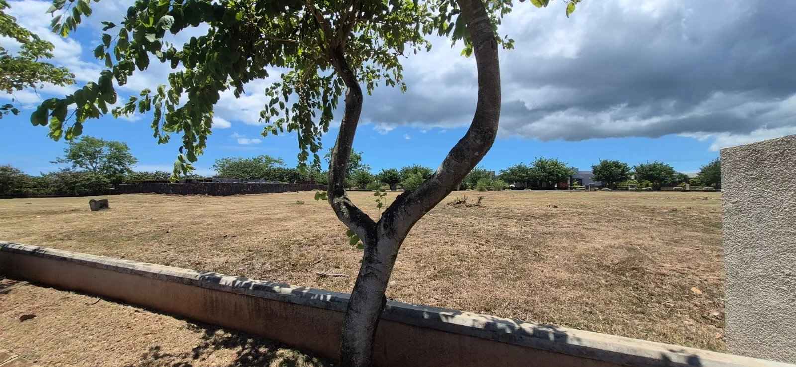 C1355ef9824a1c73647d49c26759e1df 24bfe4da67 1600 original - Translation missing: en.helpers.application.image_tag.default_alt