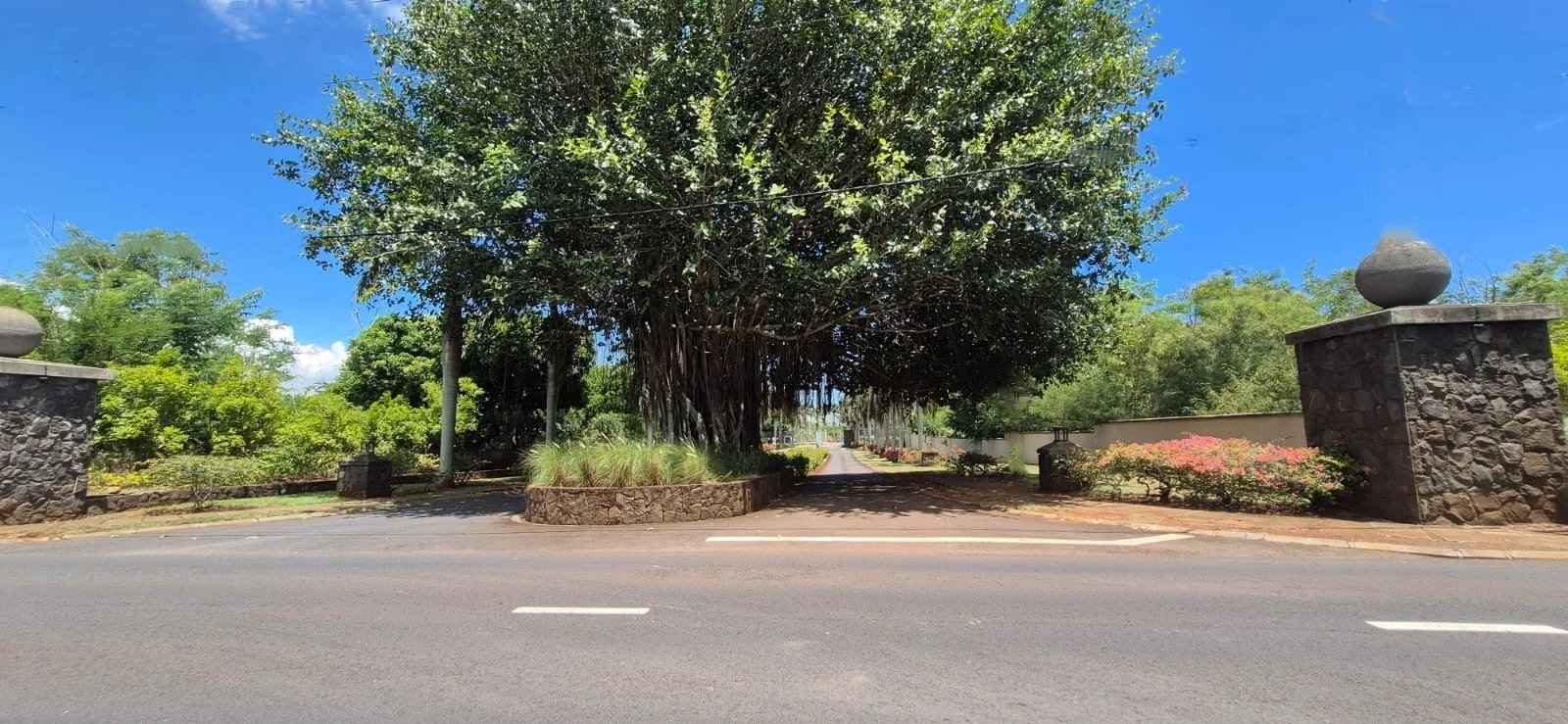 B7e6443b6a8768524ab1e15be7d3a3d4 3697316e44 1600 original - Translation missing: en.helpers.application.image_tag.default_alt