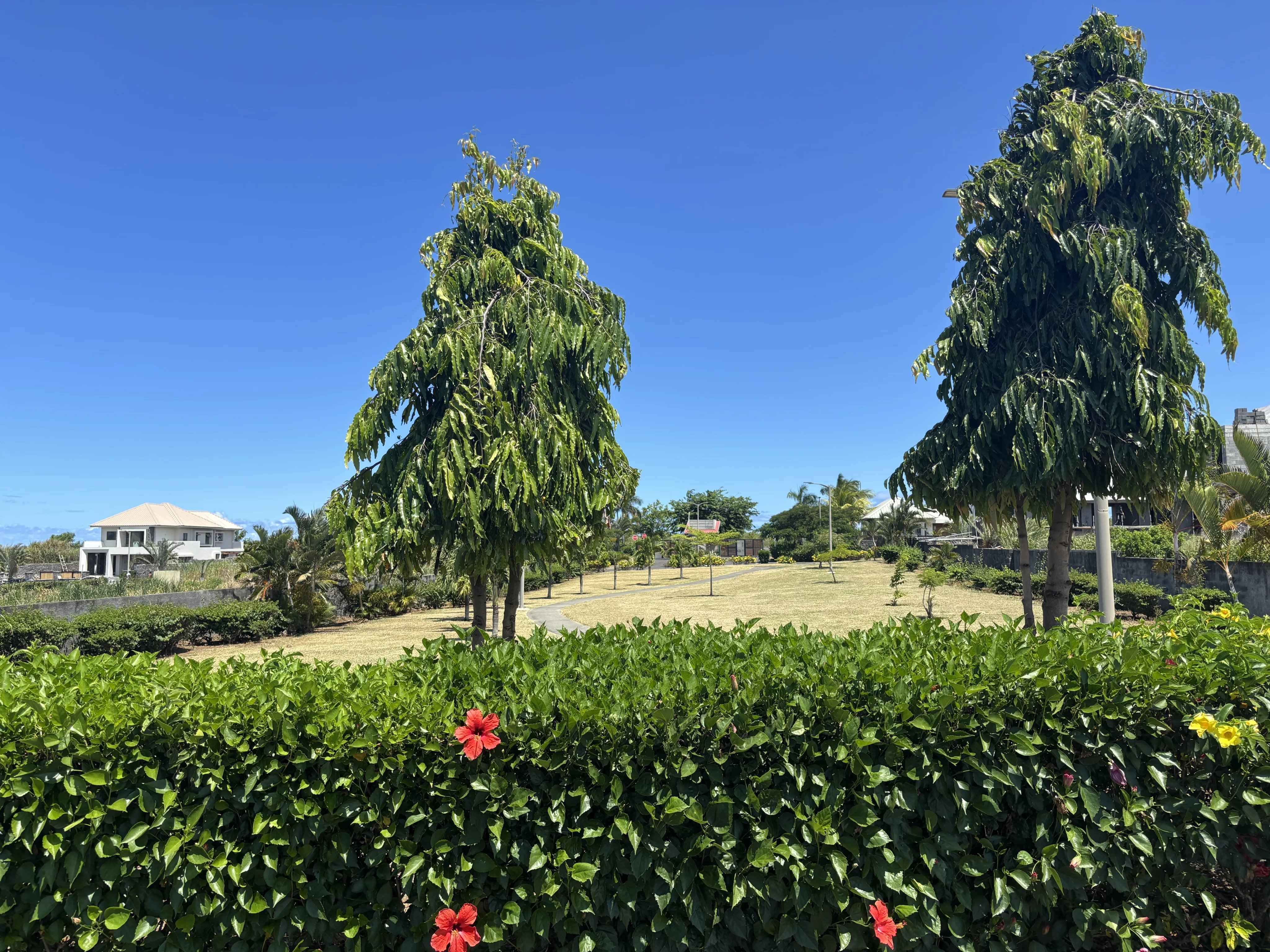 8ce8e65d3edc05db07534a8dc153c495 0adca37a8e 4096 original - Attribut alt par défaut.