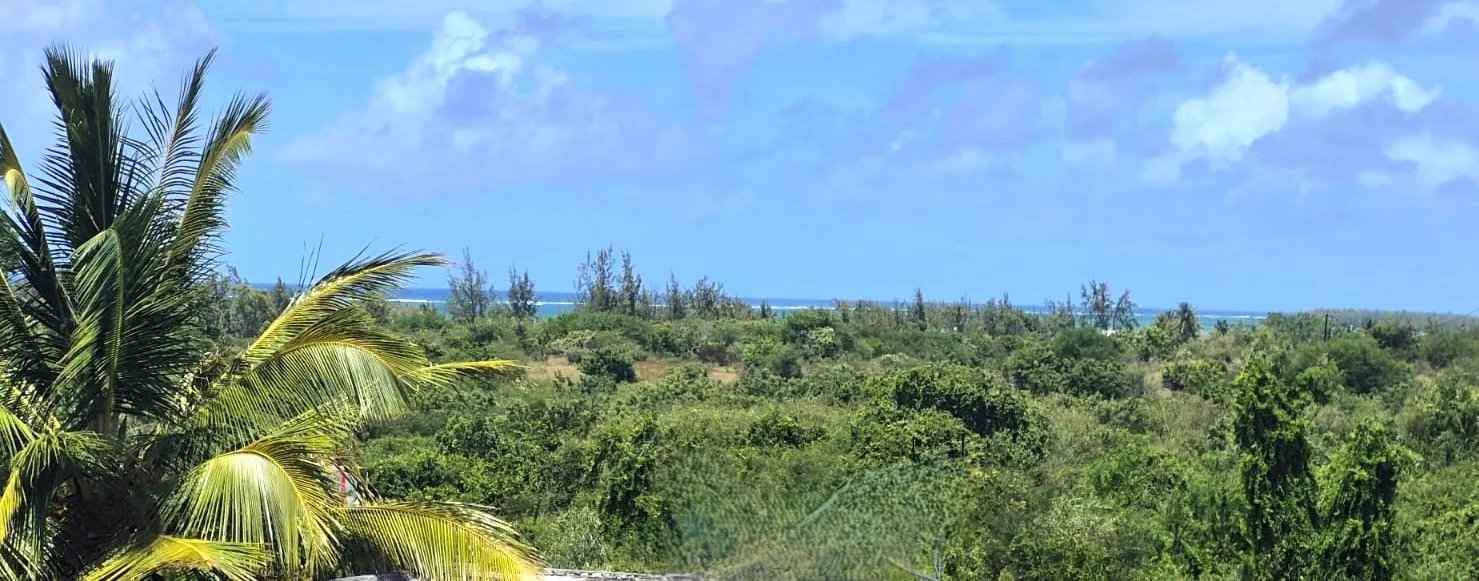 E9f95bba209bb63801c6bc5ea3ae667b afbb40ecaf 1479 original - Attribut alt par défaut.