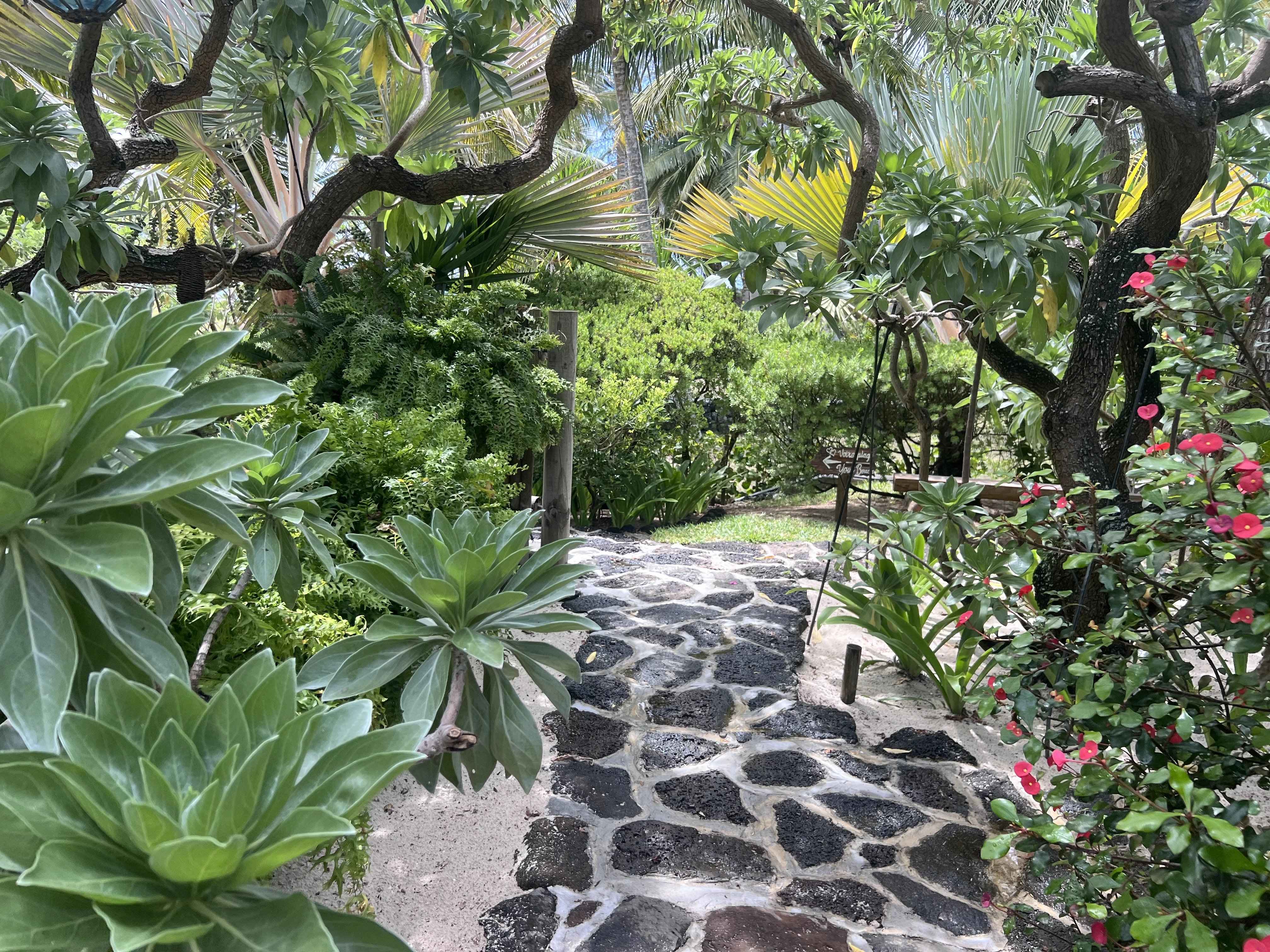 0a614d0ecbd4b87d14d0aafd2c251ce9 512cd70185 4032 original - Attribut alt par défaut.