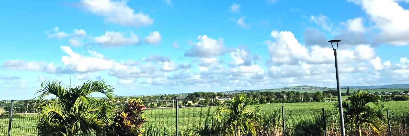 3458d85e0d284794b103e5a76ebfc634 5735c4618c 1600 original - Attribut alt par défaut.