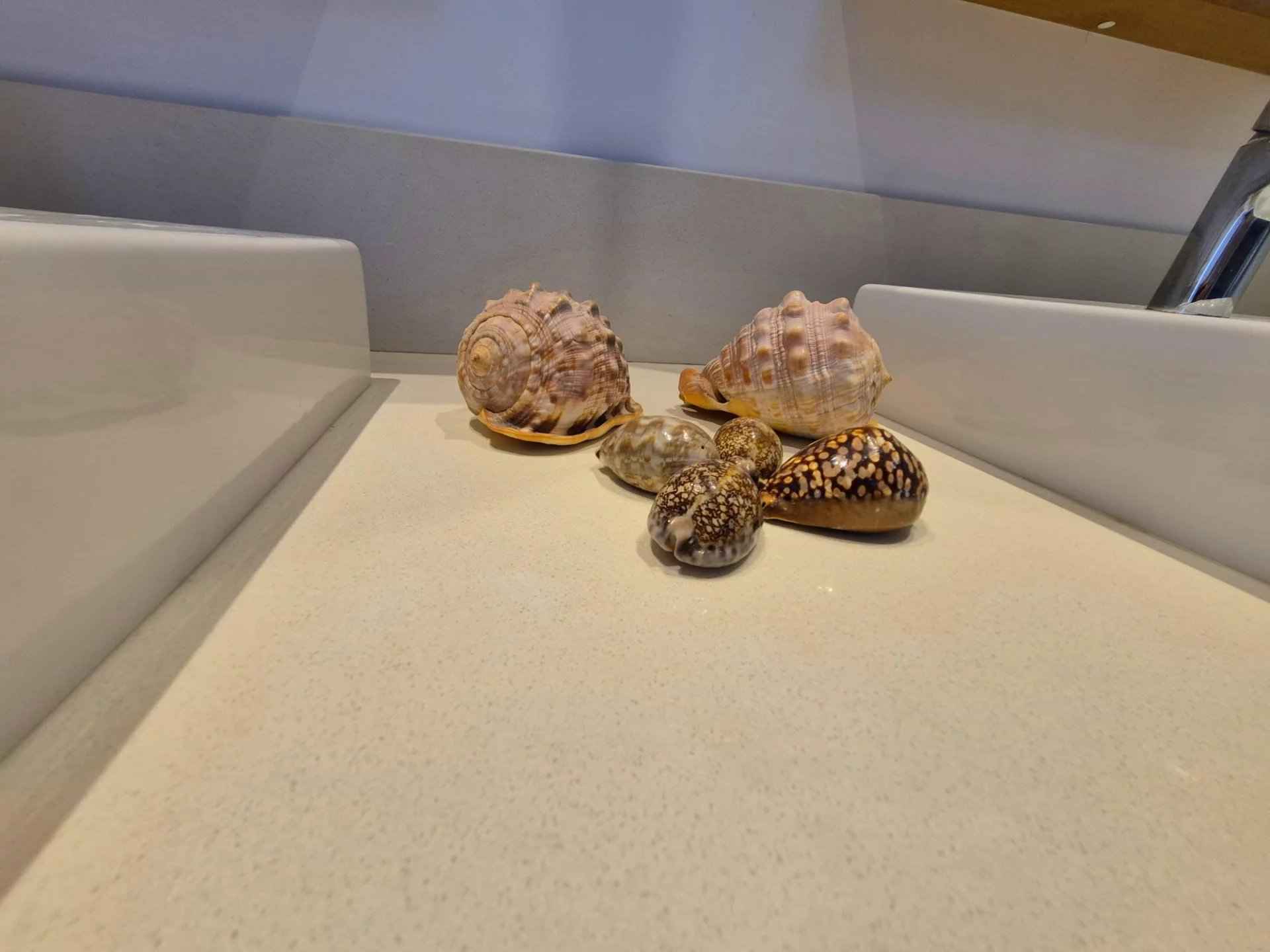 Bc385027bbcaefa85c81e735f3e4cca4 d15798a938 1920 original - Translation missing: en.helpers.application.image_tag.default_alt