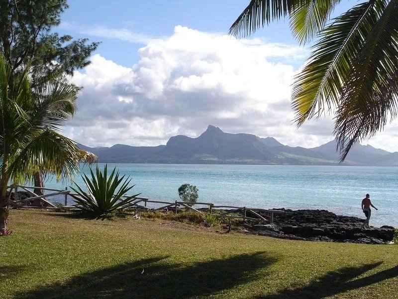 29fe868cc978700bfa1a7a577fe291cb 247dd5f4a2 800 original - Translation missing: en.helpers.application.image_tag.default_alt