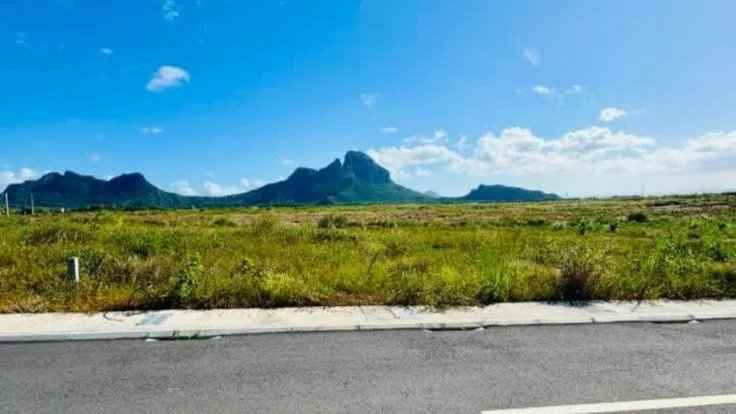 295596d57793eda417b077b9cf369ccb 68f3eeab60 736 original - Translation missing: en.helpers.application.image_tag.default_alt