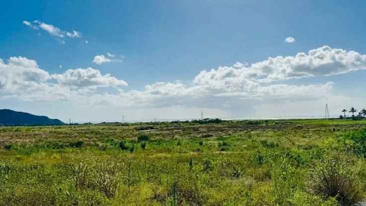 197d1ee71ad9d5613c24fdd9b07784a2 0efd5d332f 736 original - Translation missing: en.helpers.application.image_tag.default_alt