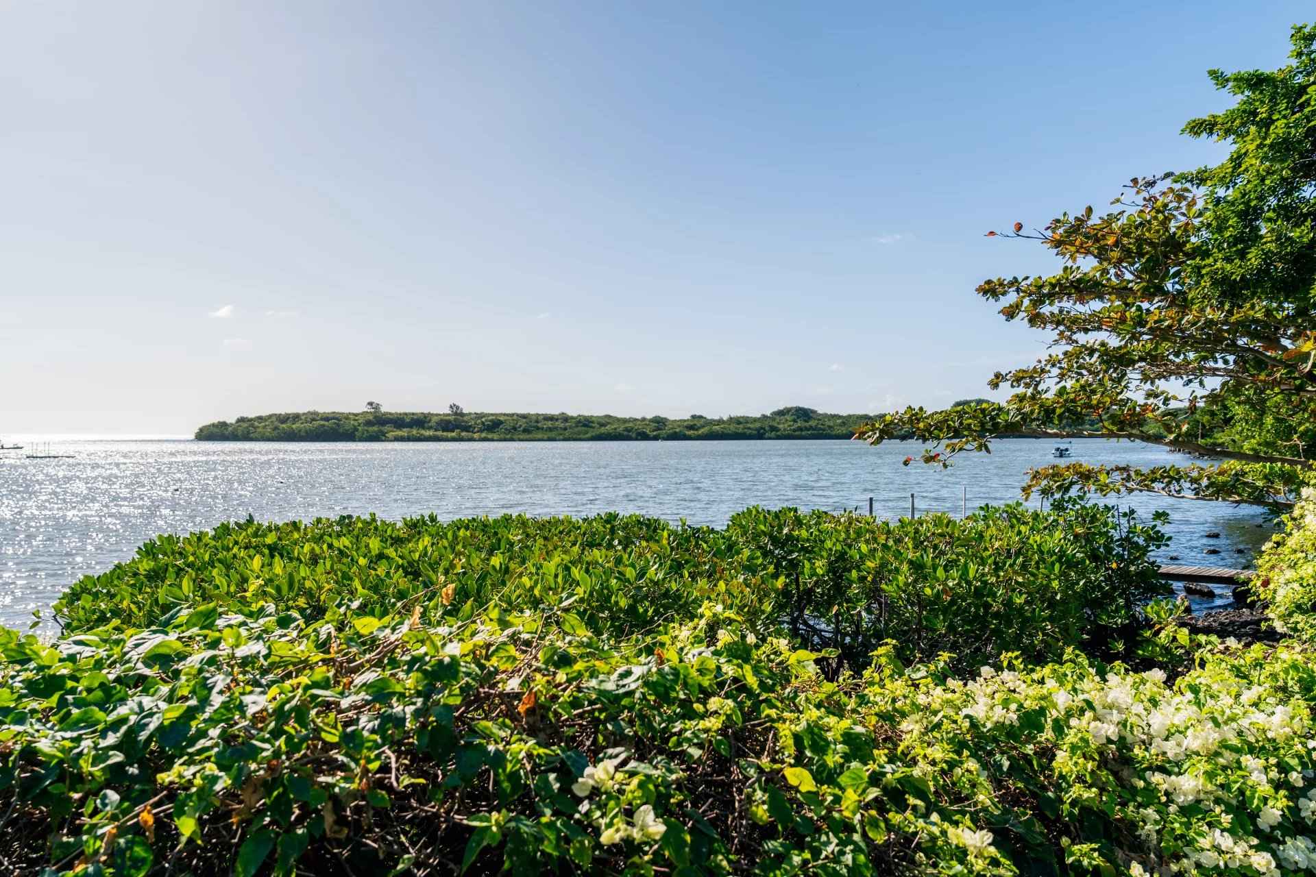 97df085c1423fb8f476deddce7d1b1d6 72bc41e7e2 1920 original - Attribut alt par défaut.