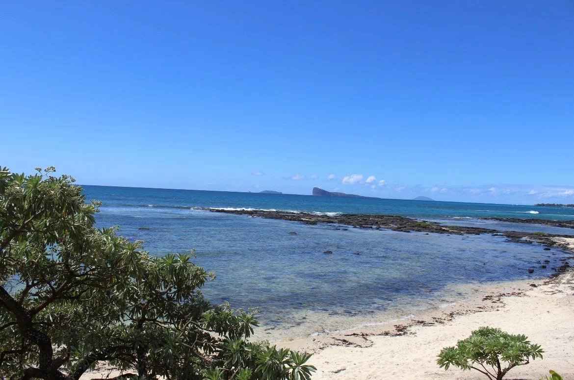 456caeced0d875595ca5dcf563d71035 ed872a691a 1170 original - Translation missing: en.helpers.application.image_tag.default_alt