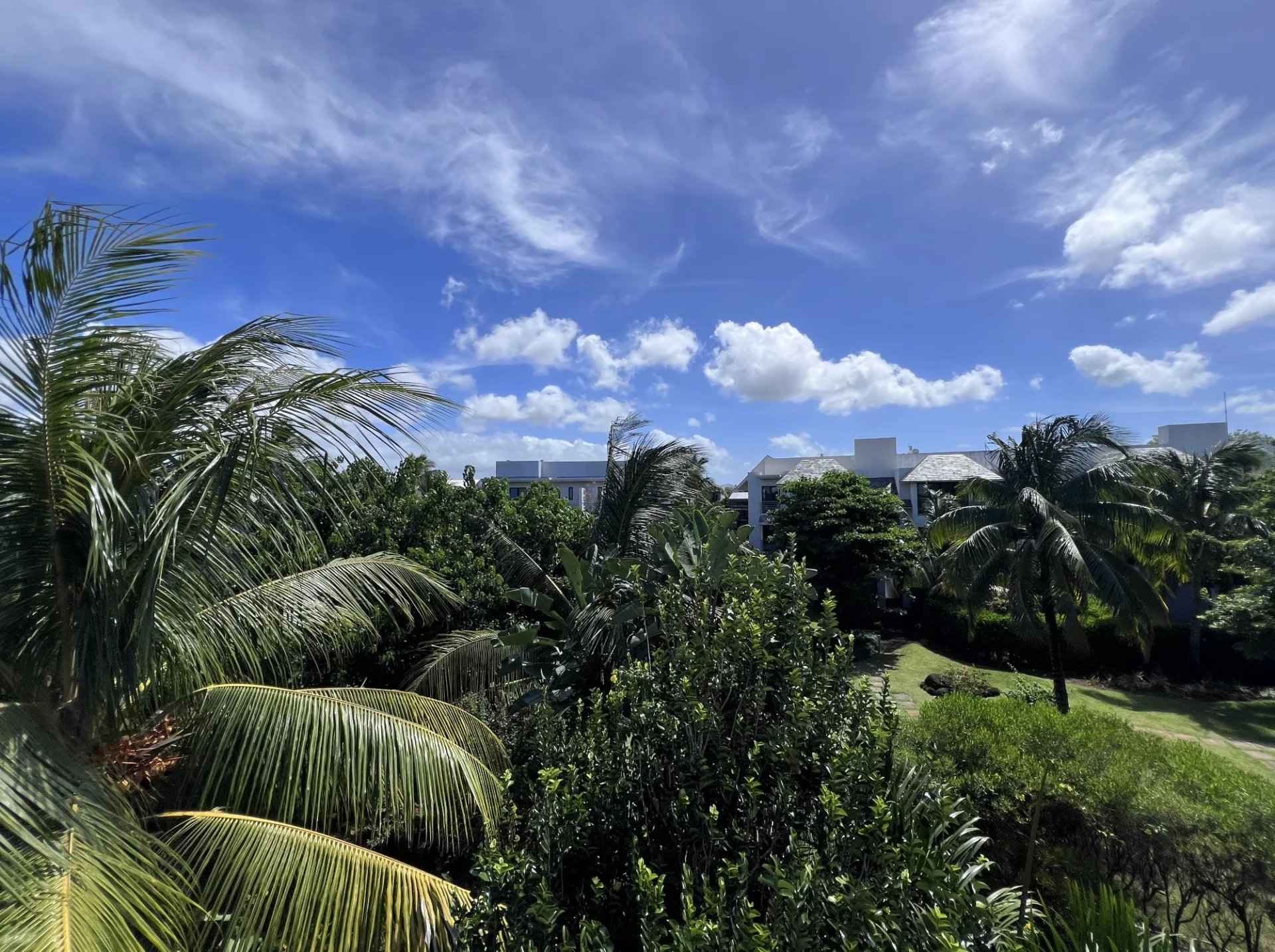 35504439ccfdd82d56b81e6b92e82b1e 2e2446715b 1920 original - Translation missing: en.helpers.application.image_tag.default_alt