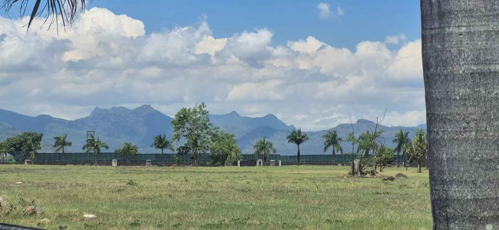 5fee6c21ee8d3253777d7480cf358323 e9cad8756b 1600 original - Attribut alt par défaut.