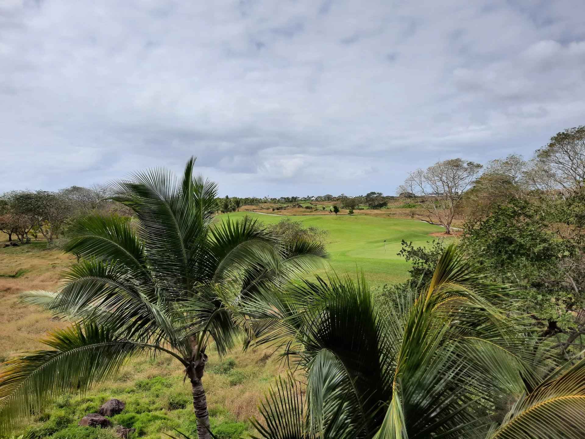 4bca2da3d2fea12f20a3fe464c566655 f9863c5f69 1920 original - Translation missing: en.helpers.application.image_tag.default_alt