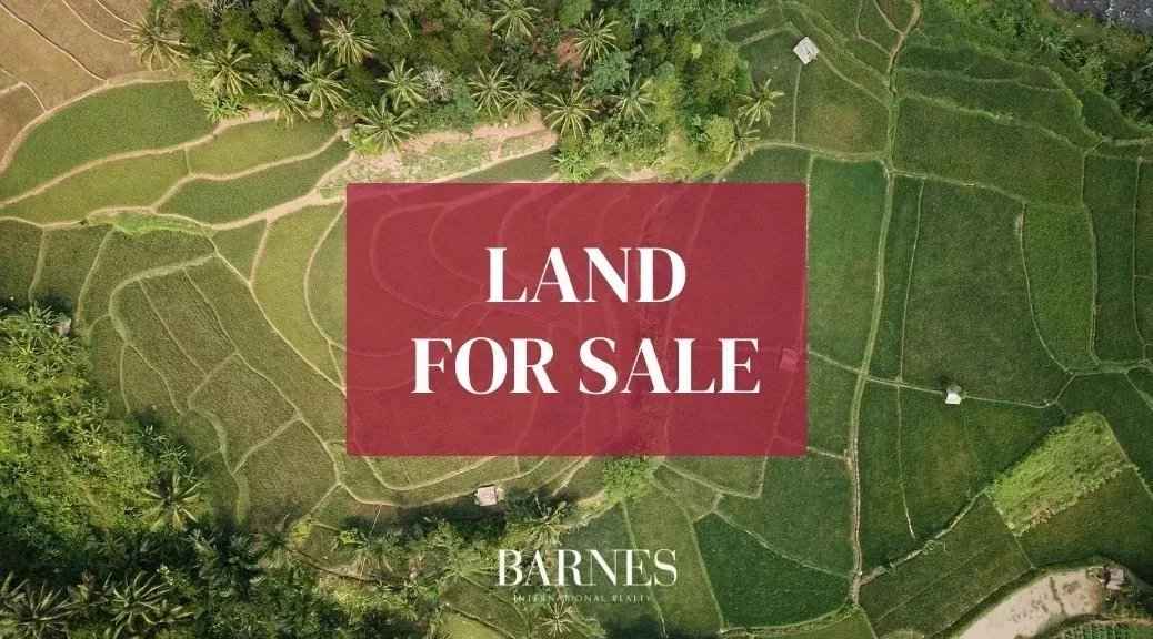 73d4771af4668eb01c707c022f9a5aac 201fb3216d 1038 original - Attribut alt par défaut.