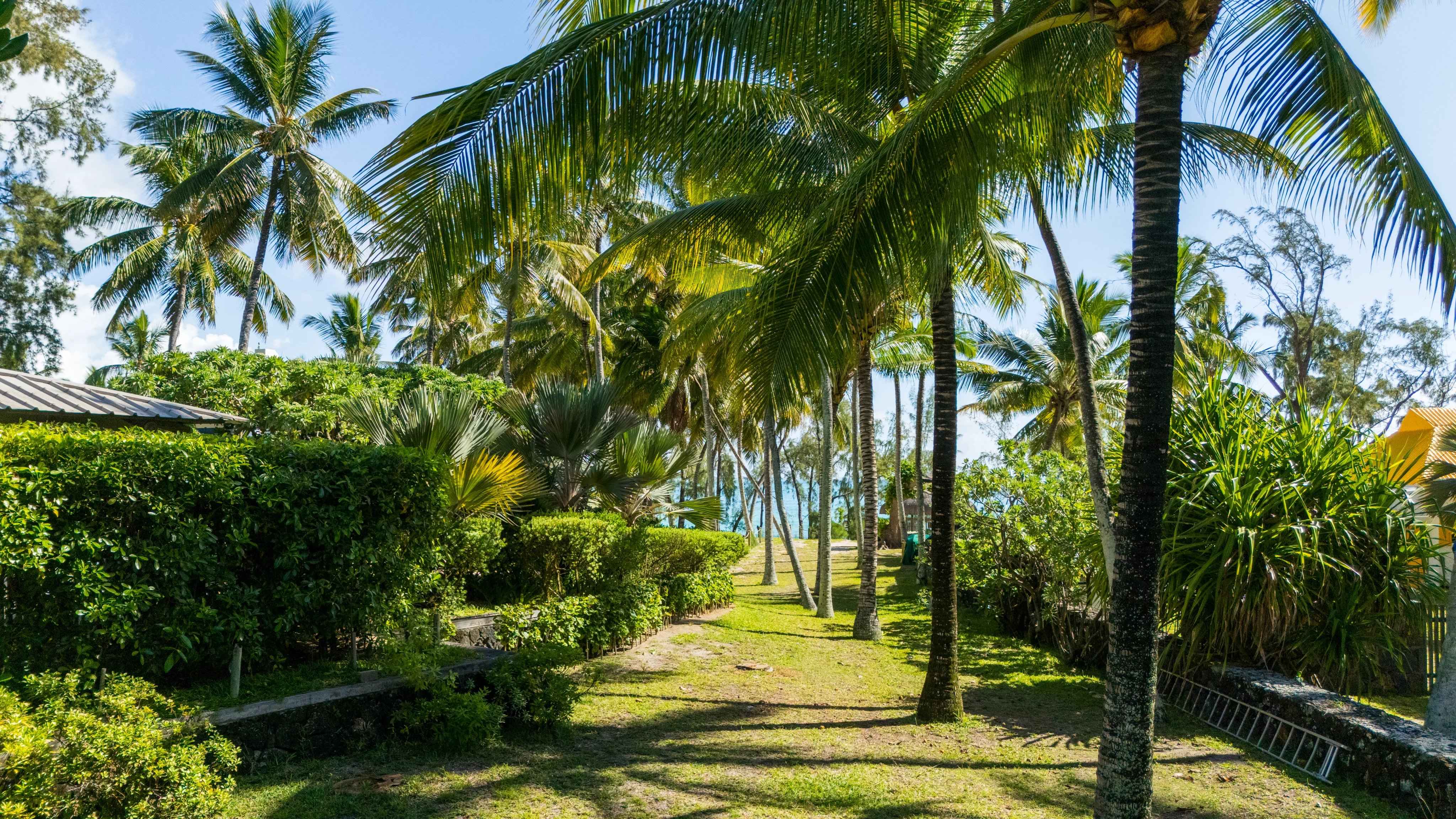 F010a83d4babc968f9cf19d5aa96aa40 8580a078cc 4096 original - Attribut alt par défaut.