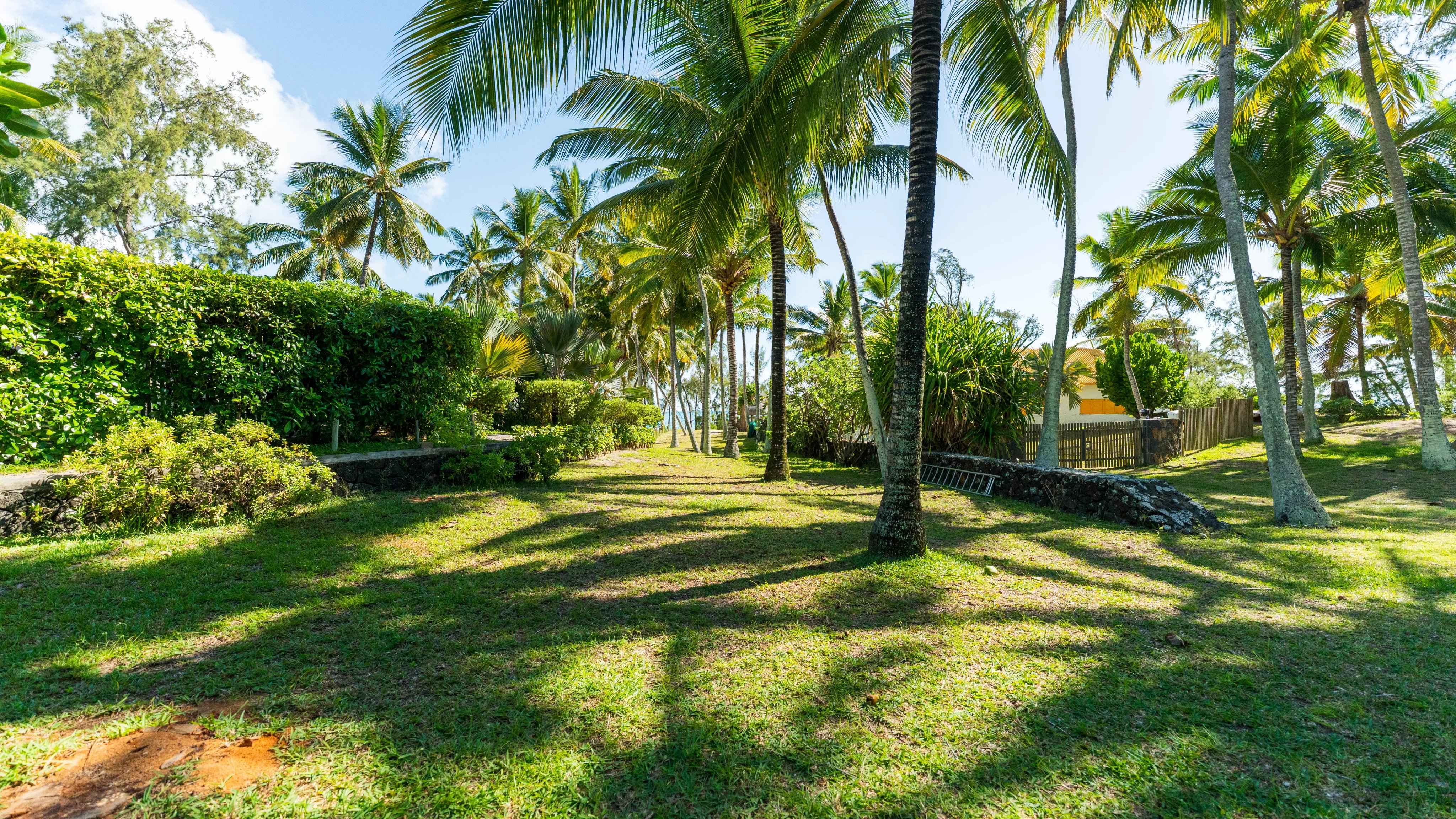 0583d72ab7cd05799fbef80dd7fd392b fa11b86ed2 4096 original - Attribut alt par défaut.