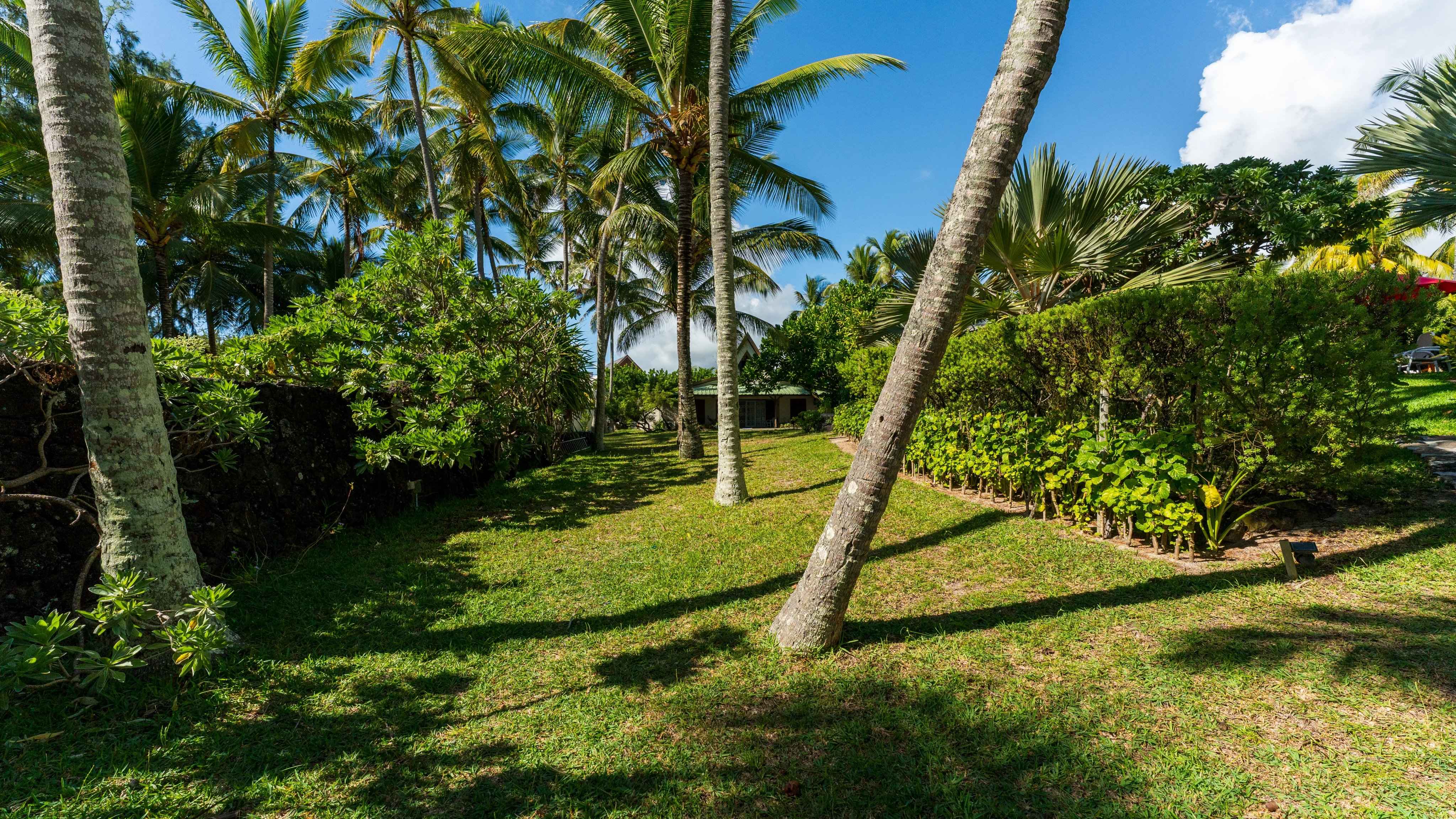 57388db76a16cdca037febb0aaa31f48 107293a96d 4096 original - Attribut alt par défaut.