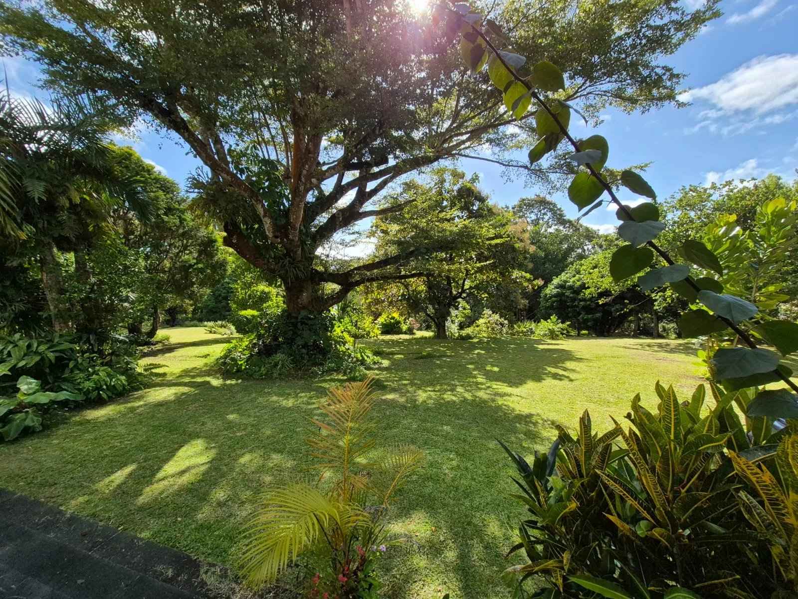 D45ad14ca2a4a8e9f5737571874227e9 e0b913bb47 1600 original - Attribut alt par défaut.