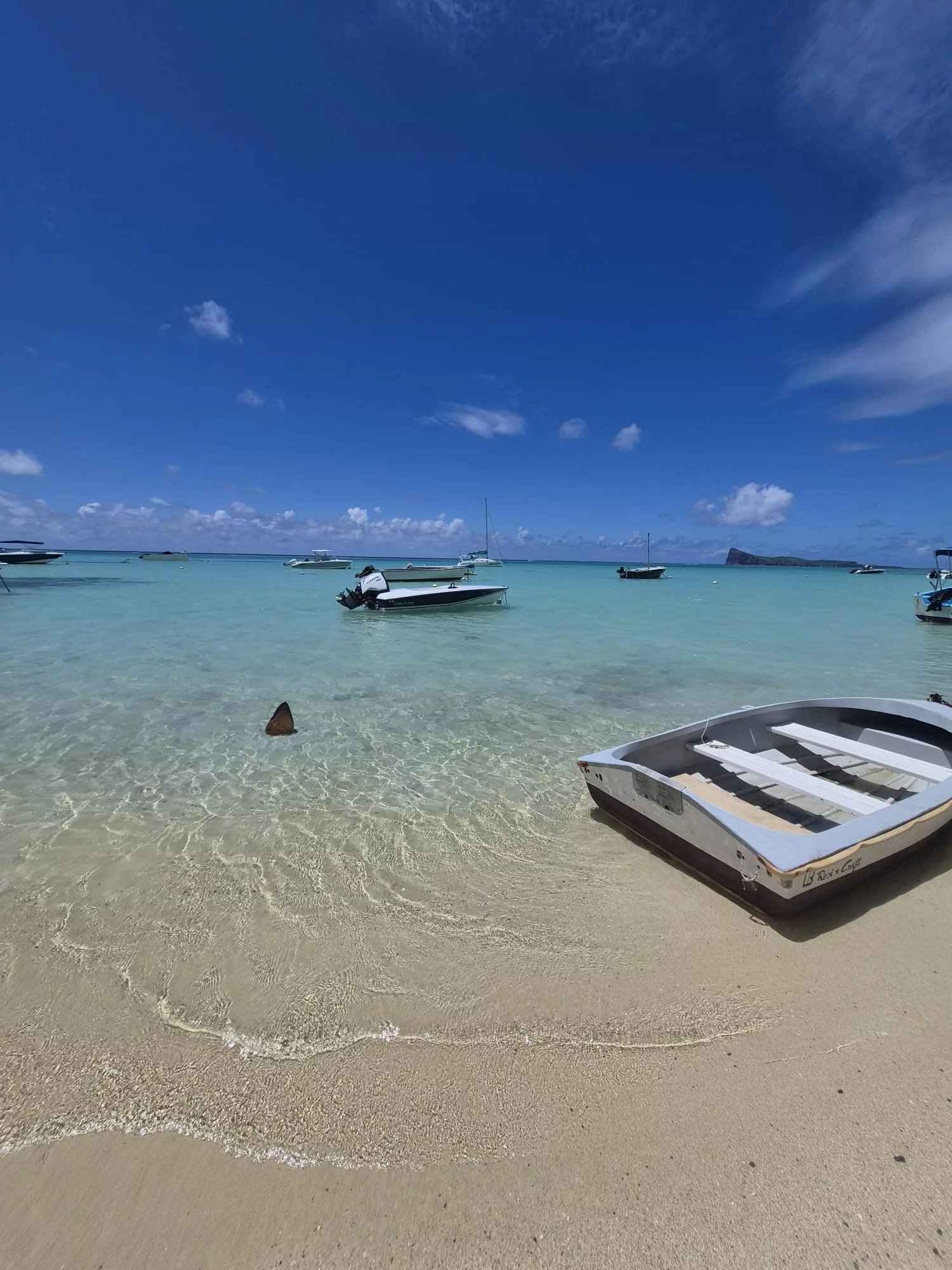 812acf7dfad438912367c308b05b95c9 d773a36029 2000 original - Attribut alt par défaut.