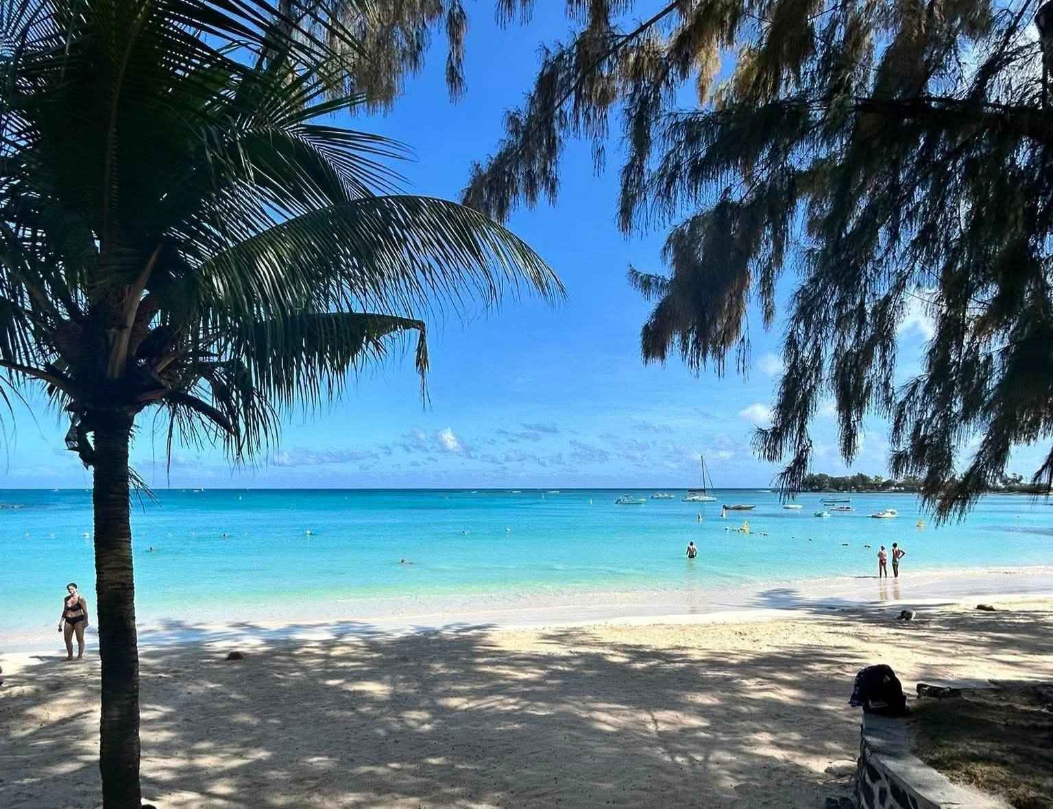 873a48c9e2ef94b0c131970008294eca 93964ee066 1536 original - Attribut alt par défaut.