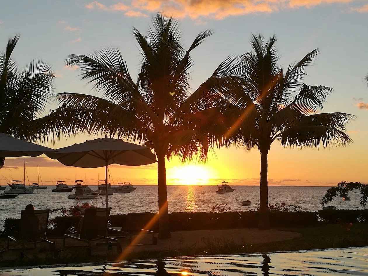 E82fa7ec9aeaacb19bb9047c2ebbd142 19cd2d0220 1260 original - Attribut alt par défaut.