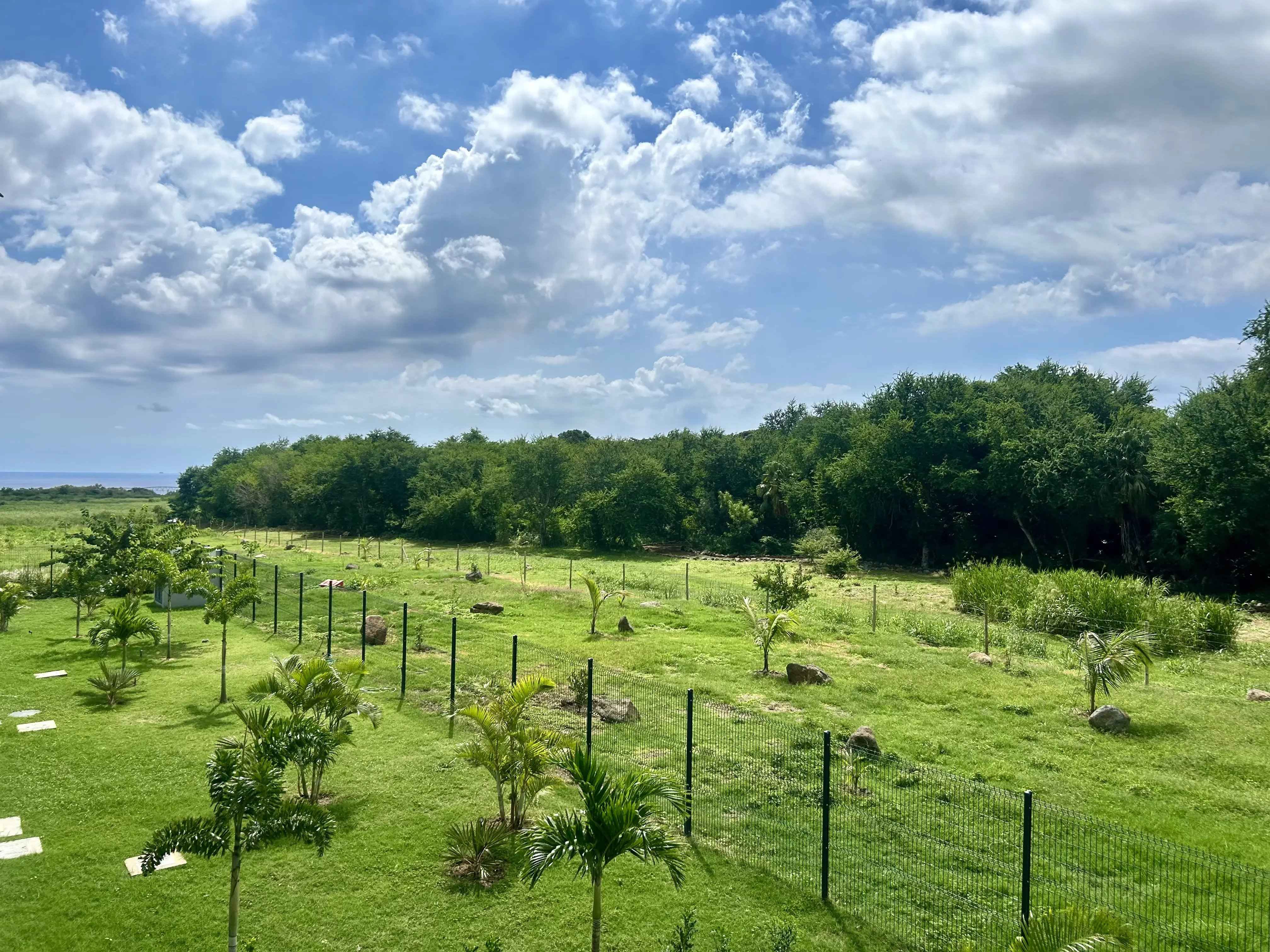 1ba46de02c33bd91098f421df9669b09 b5610f5181 4032 original - Translation missing: en.helpers.application.image_tag.default_alt