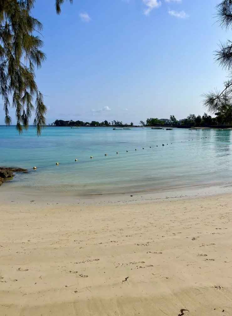 18eef14768457d3651c0e52c85432065 a2198c408d 1006 original - Attribut alt par défaut.