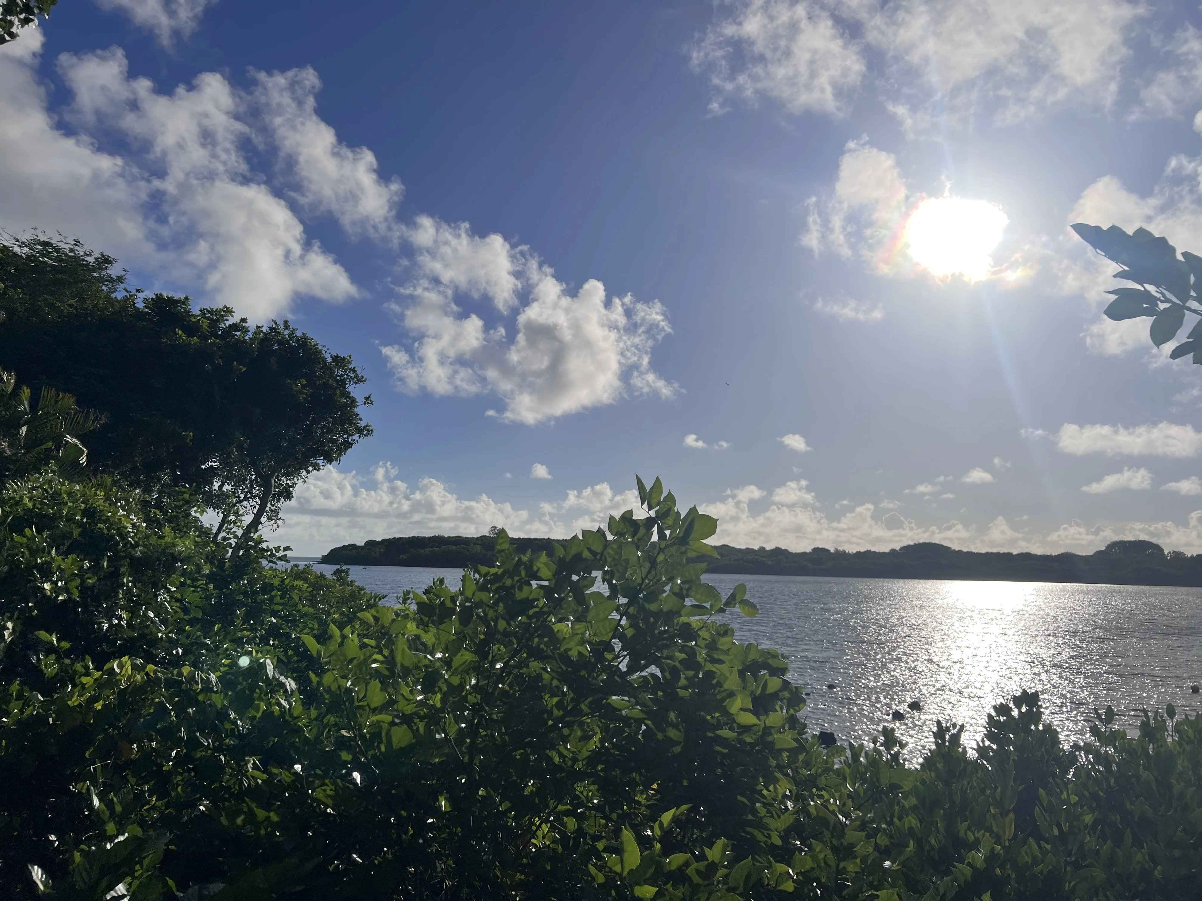 6577d3dafa0f9e137a437be1cf4d6493 868a1682f7 4032 original - Translation missing: en.helpers.application.image_tag.default_alt