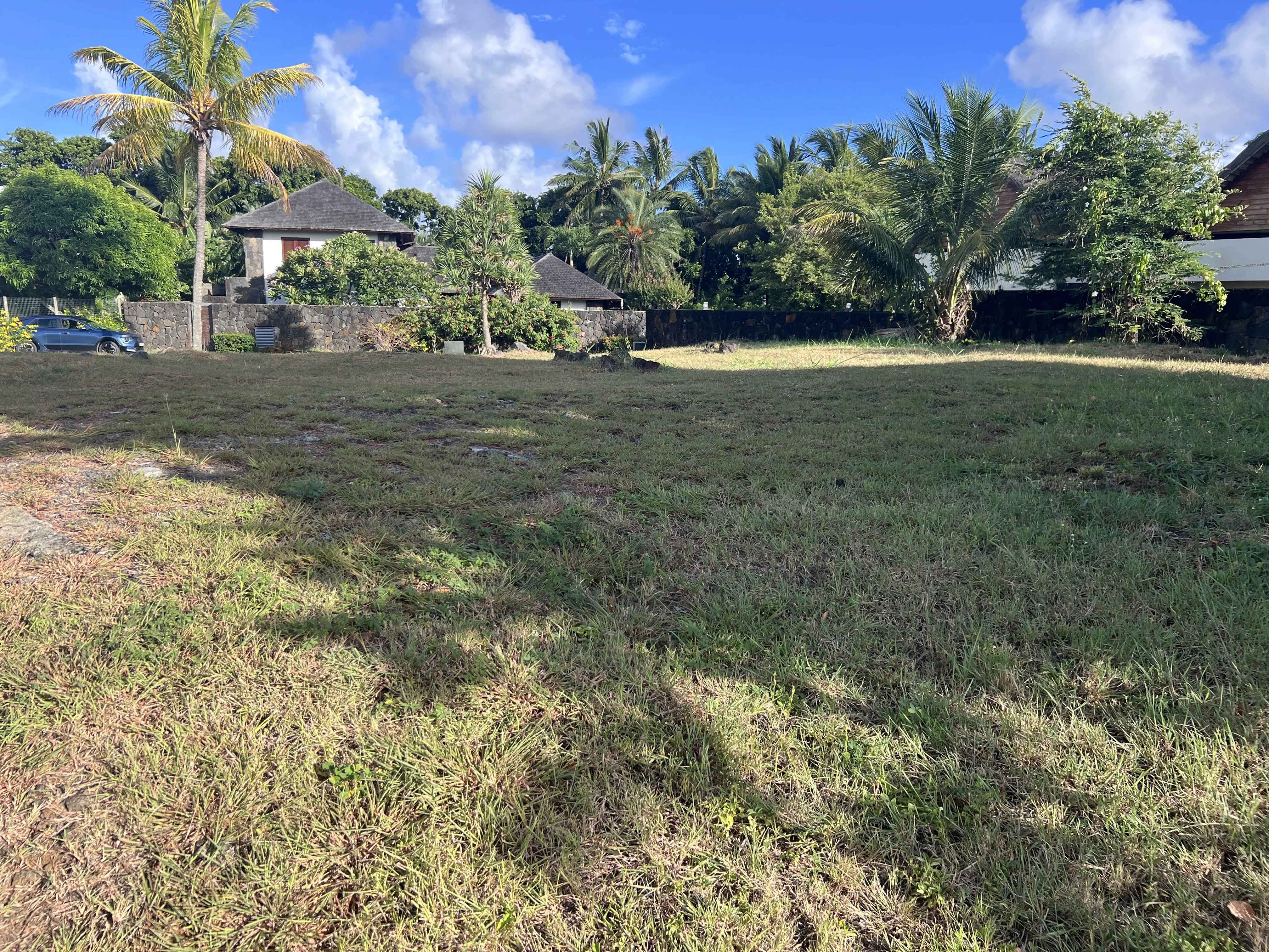 B5824e230f0b1ac439b86d252d5385ea da99a0f675 4032 original - Translation missing: en.helpers.application.image_tag.default_alt