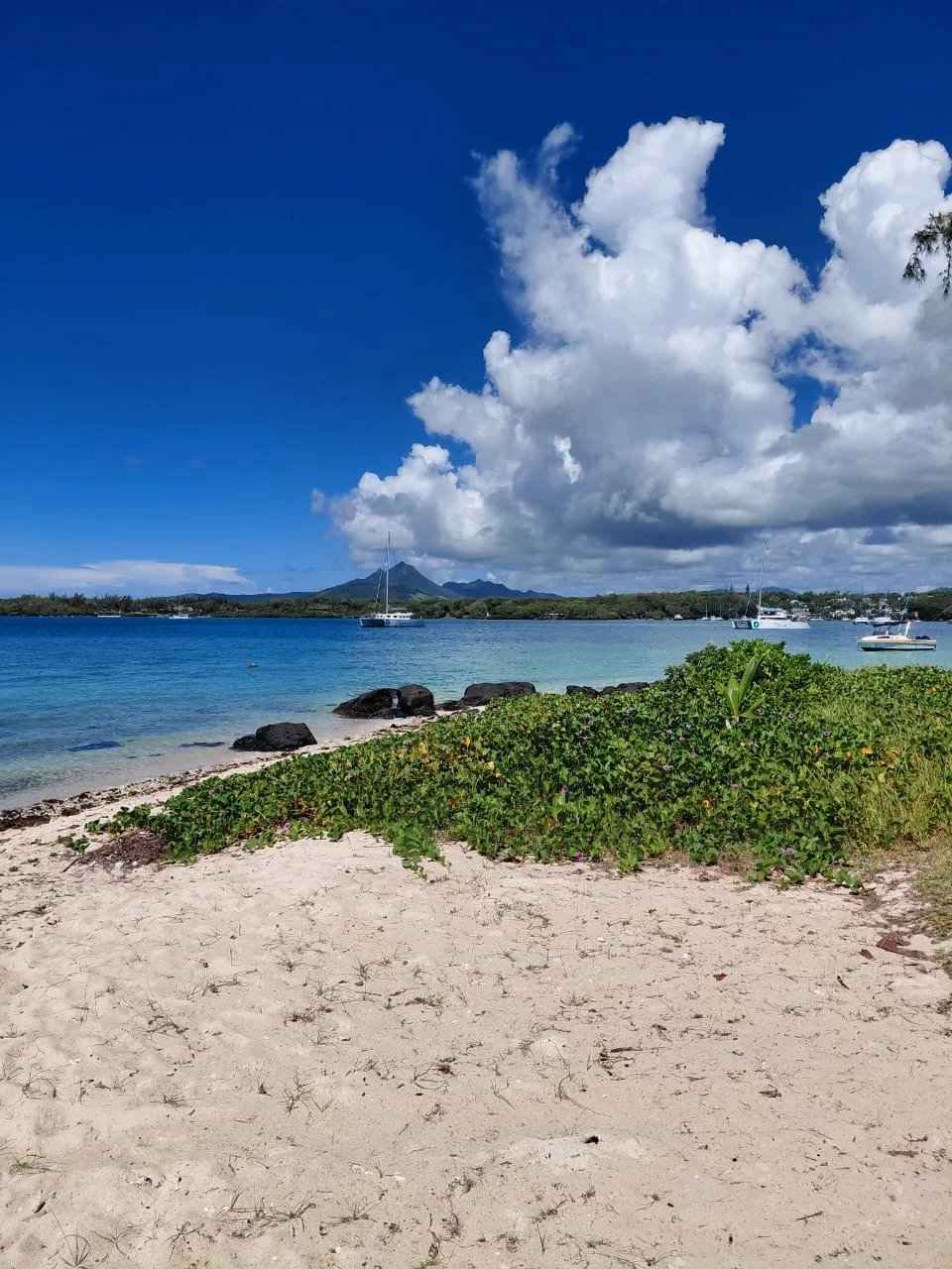 1bdc9f9a7c89ca30263f0725cc08b206 bc0240d731 1280 original - Translation missing: en.helpers.application.image_tag.default_alt