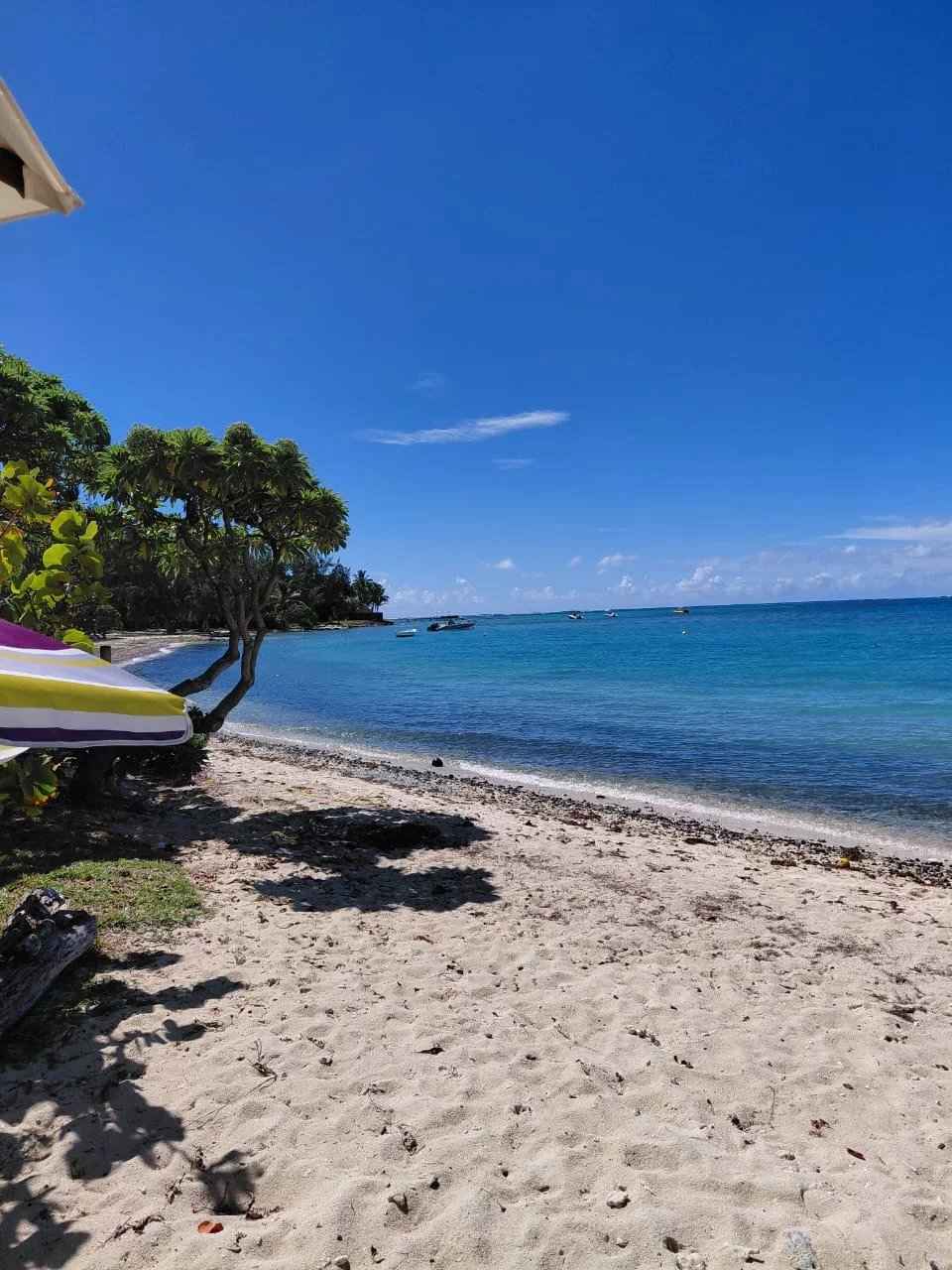 E170478e33da8c24fd5d33afe324d6ee 943ad18331 1280 original - Translation missing: en.helpers.application.image_tag.default_alt