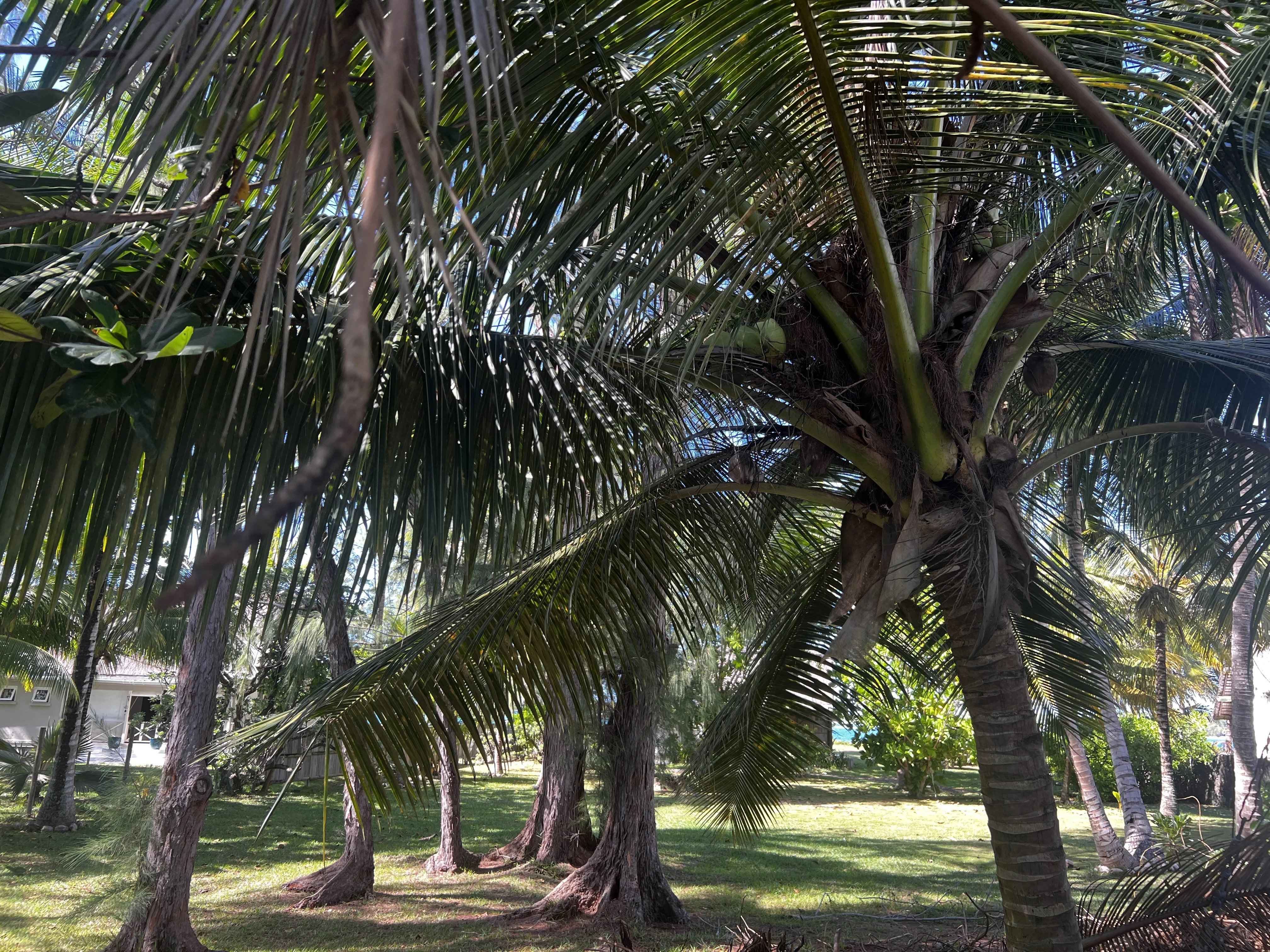 92a9eb4a8e0ce1ba20591507a96c87f9 c93953e91f 4032 original - Attribut alt par défaut.