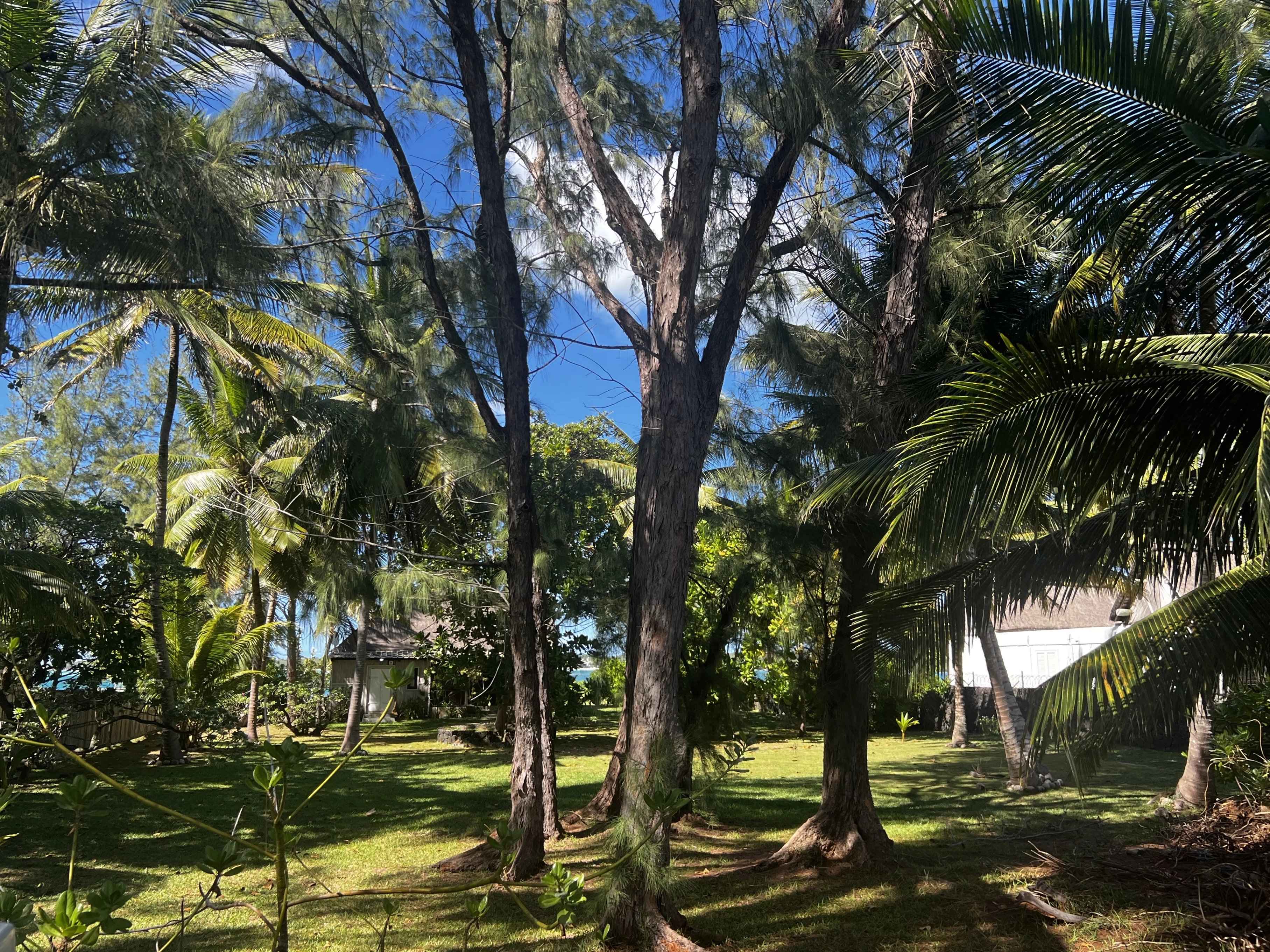 A68ac3d43841cd834db5bee23ed8b4fb 1fdfb0537b 3630 original - Translation missing: en.helpers.application.image_tag.default_alt