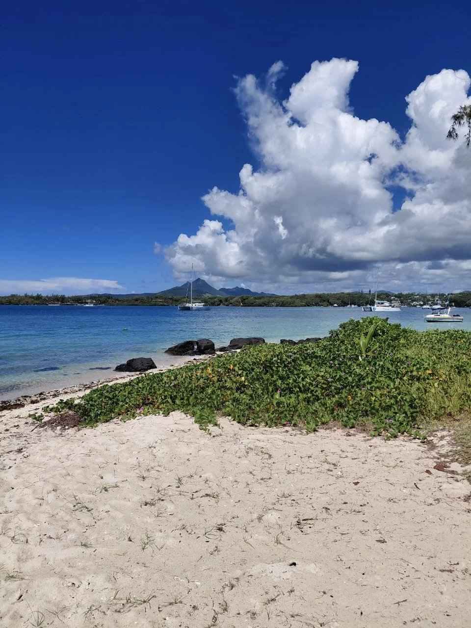 Dc84a19bb705fbb8bd332512433cb70c c7af106e79 1280 original - Attribut alt par défaut.