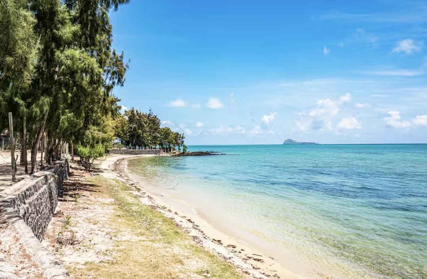 474b67b9392f85f54edd5b4767bb4380 09fa64cea5 1424 original - Attribut alt par défaut.