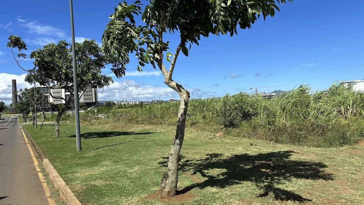 9582fd8a43030b2b418d9d10f53a4900 ecf399db42 1424 original - Translation missing: en.helpers.application.image_tag.default_alt