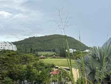 8588cb683883540e863b7b41ddda2183 709dcb7c90 449 original - Translation missing: en.helpers.application.image_tag.default_alt