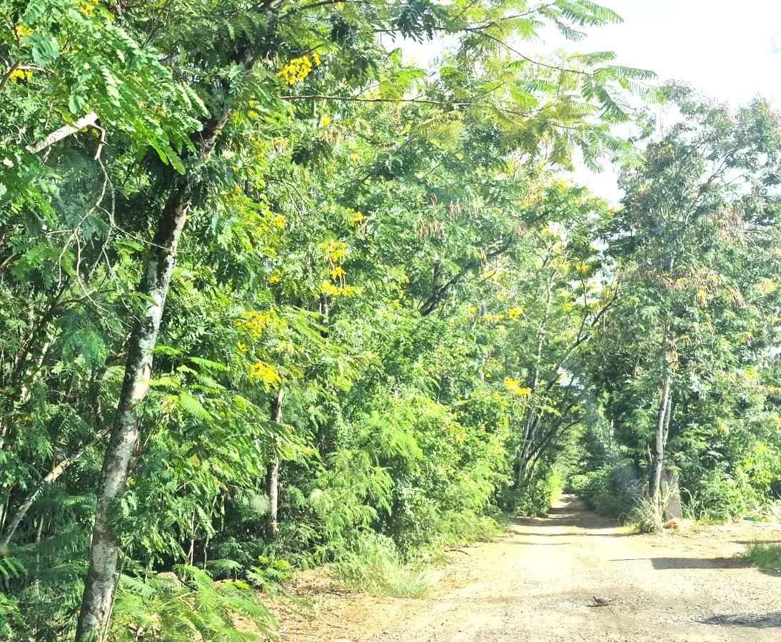 975650beb776d27a3cf8530d952c1700 2c44e33910 1094 original - Attribut alt par défaut.