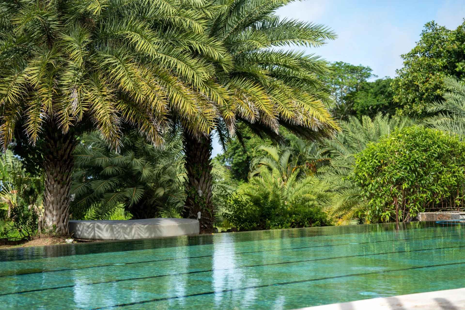 D186645e95e9a564c271abad3ae413dc af98c1ec4a 1920 original - Attribut alt par défaut.