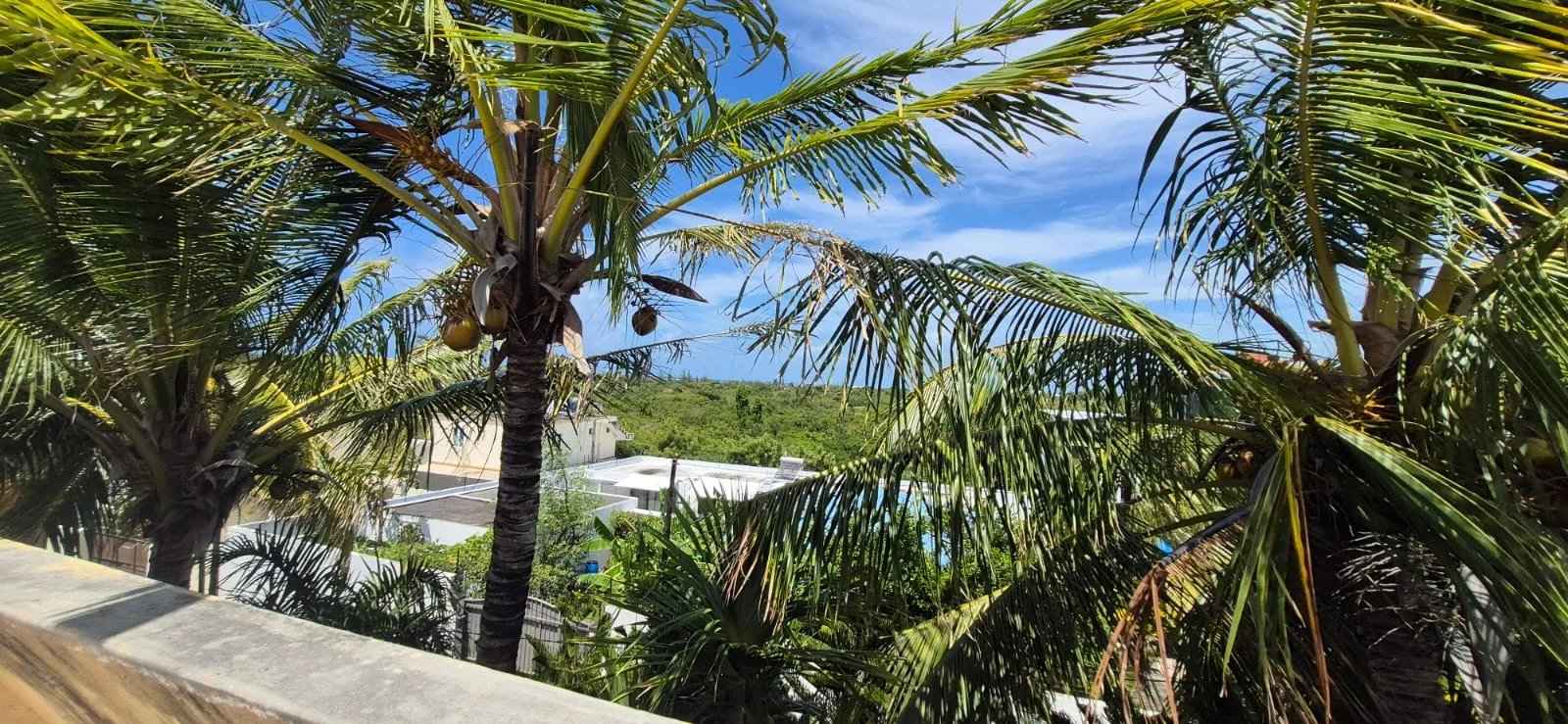 948243164507c6d46bcfa5ea4e7246b6 911f1f09ac 1600 original - Attribut alt par défaut.