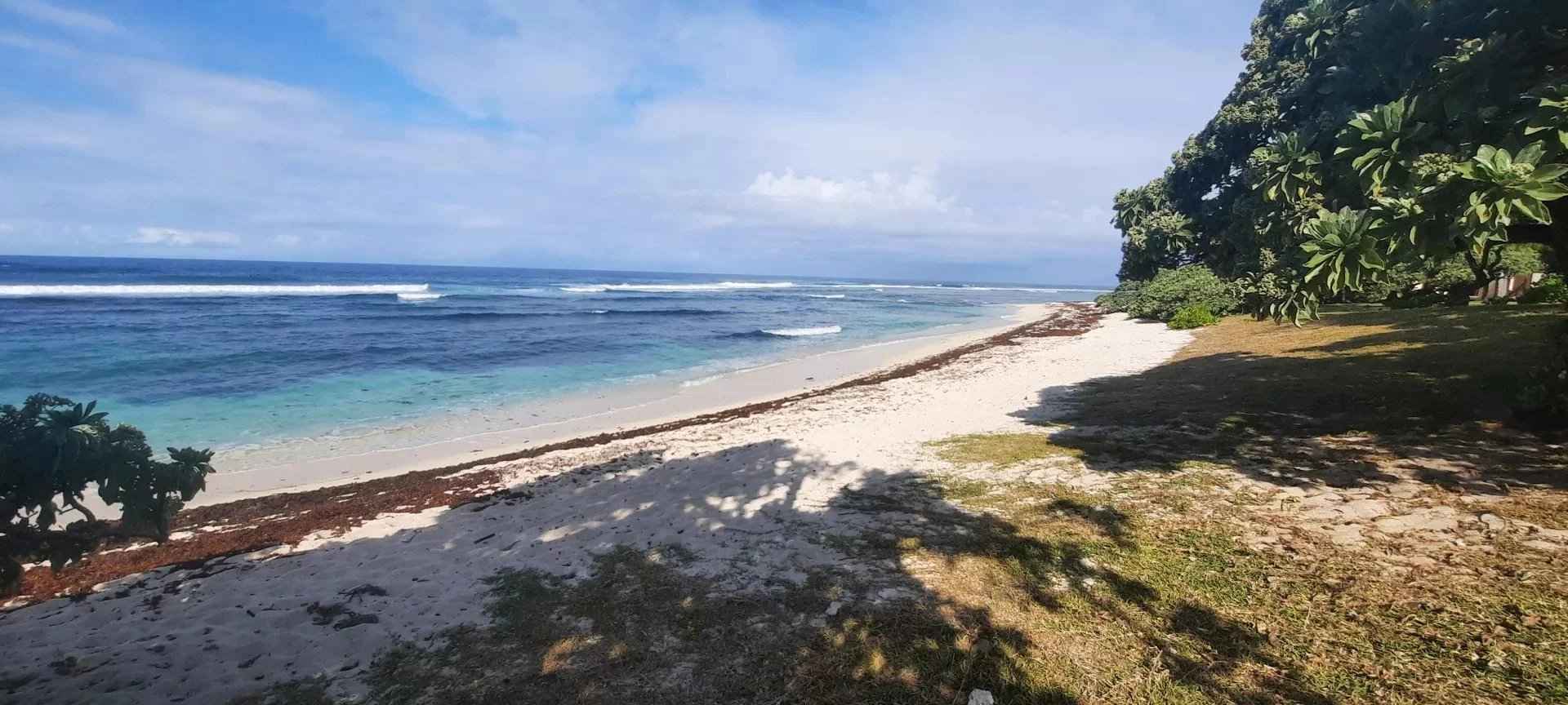 Afa089ea6e5cfe9dc90eda5bc3c712aa a527ac2115 1920 original - Attribut alt par défaut.